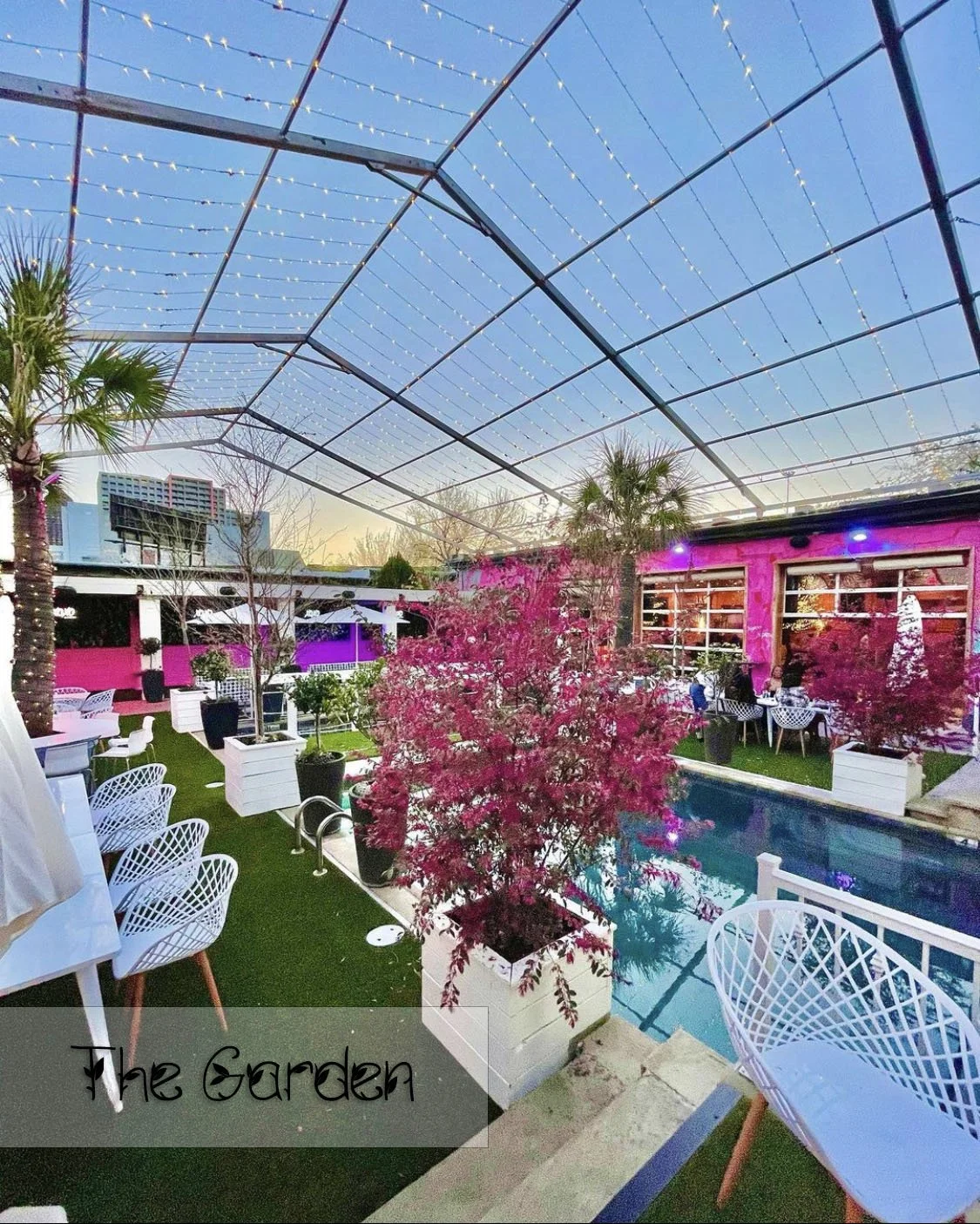 TheGarden.jpg