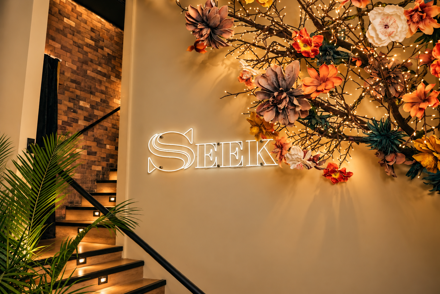 Seek 1.png
