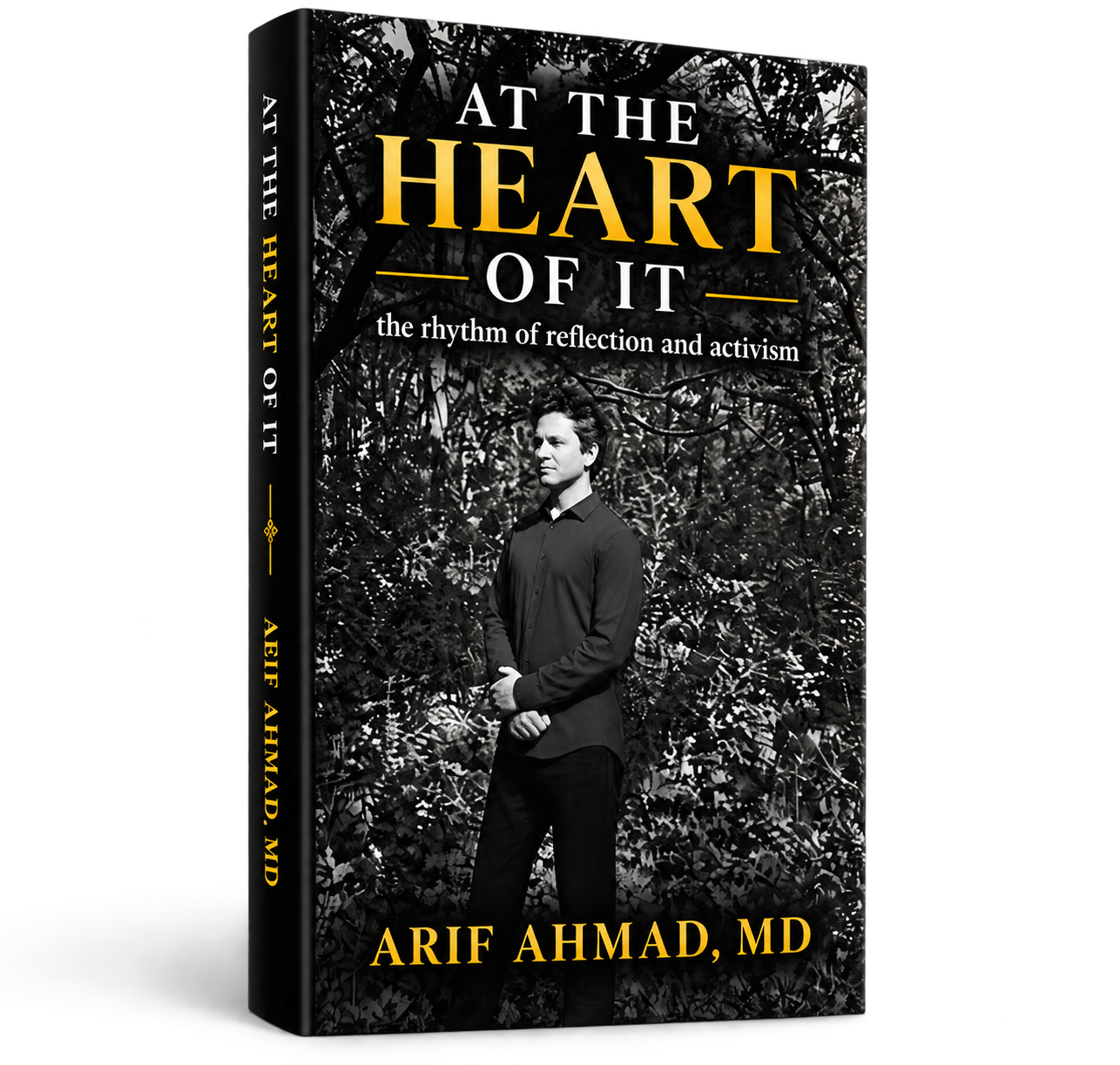 At The Heart of It: The Rhythm of Reflection and Activism