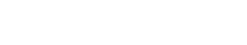 Intrepid Design