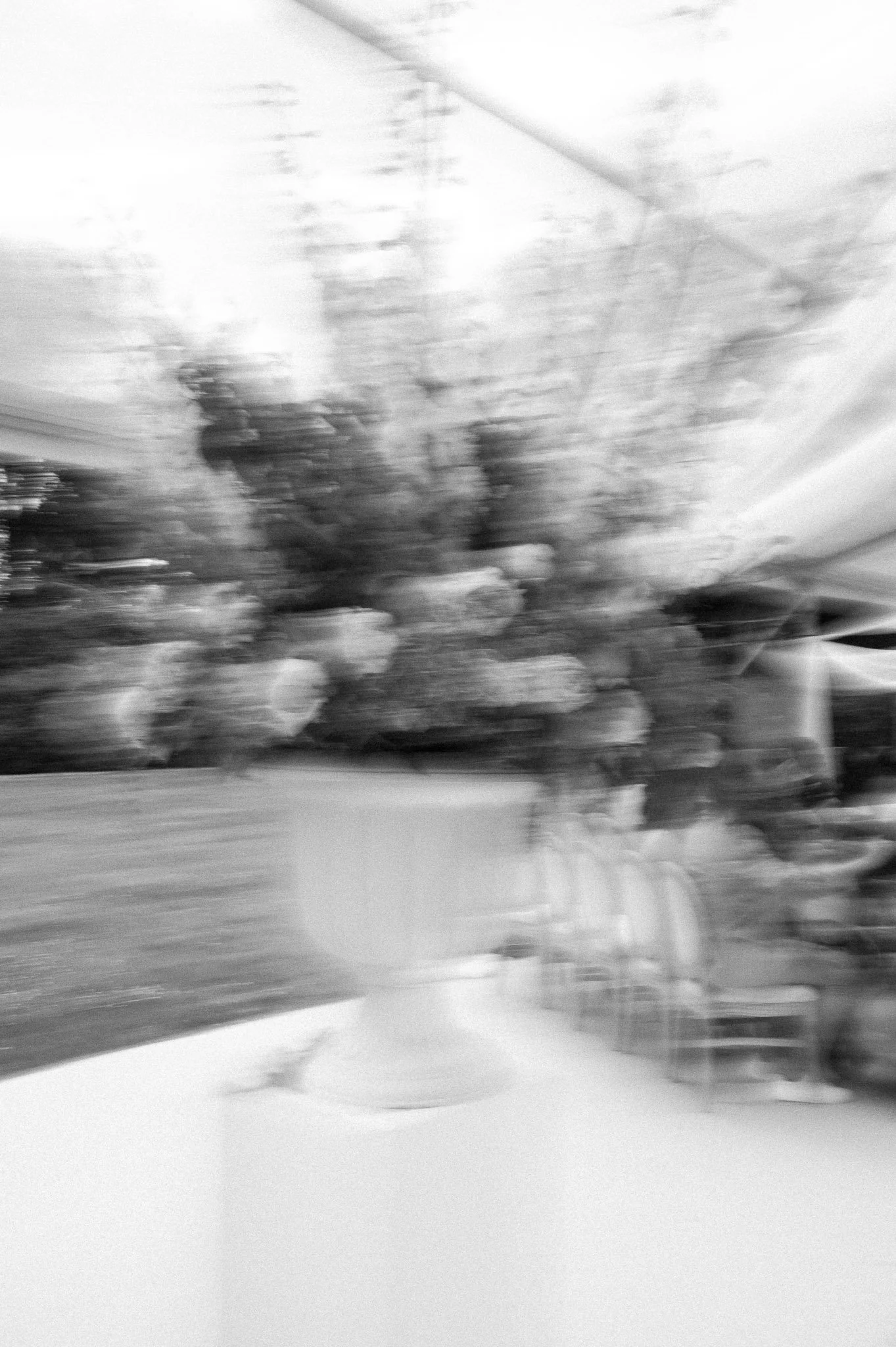 Blurred black-and-white view of trees and a house seen through a window