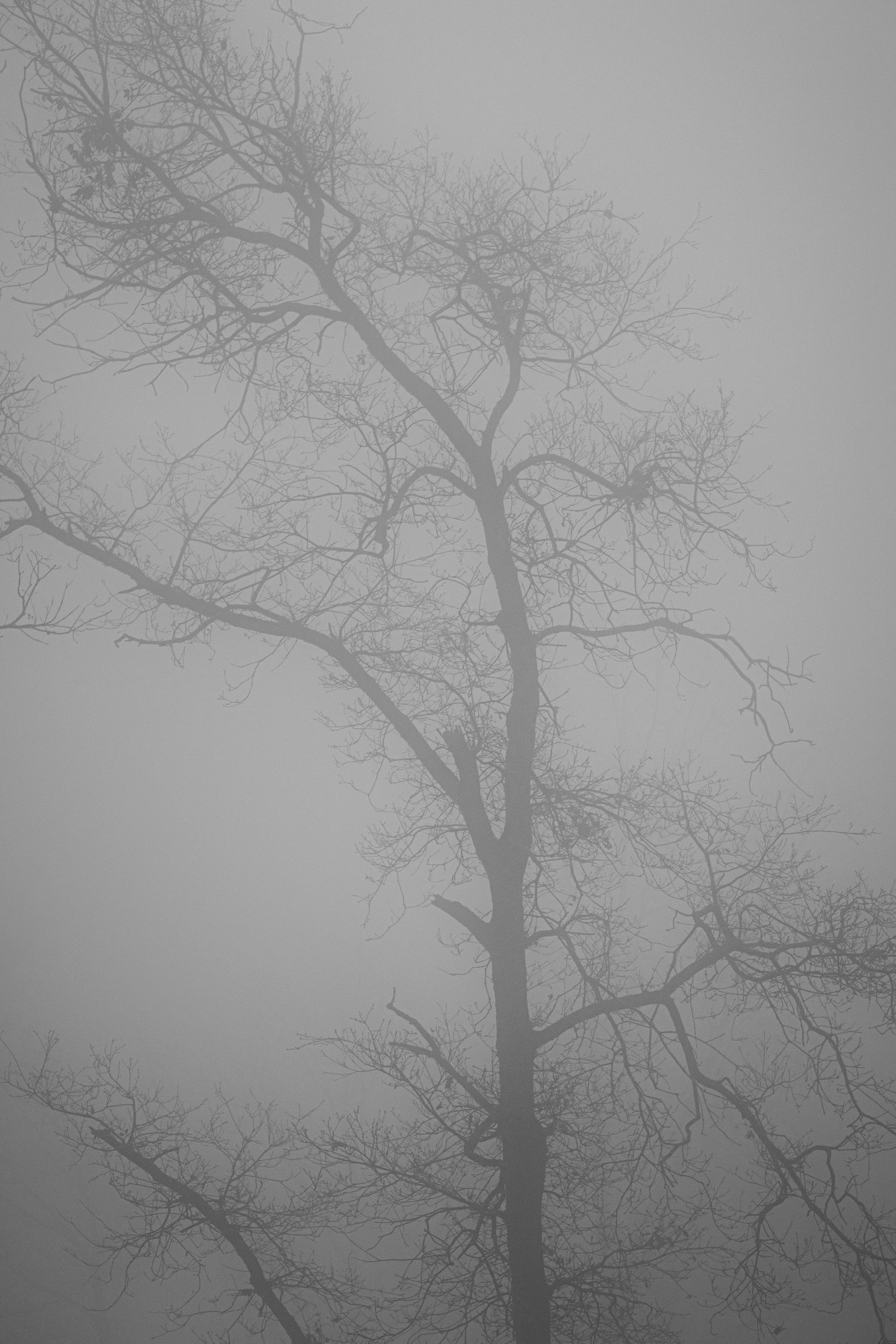 DSCF8571.jpg