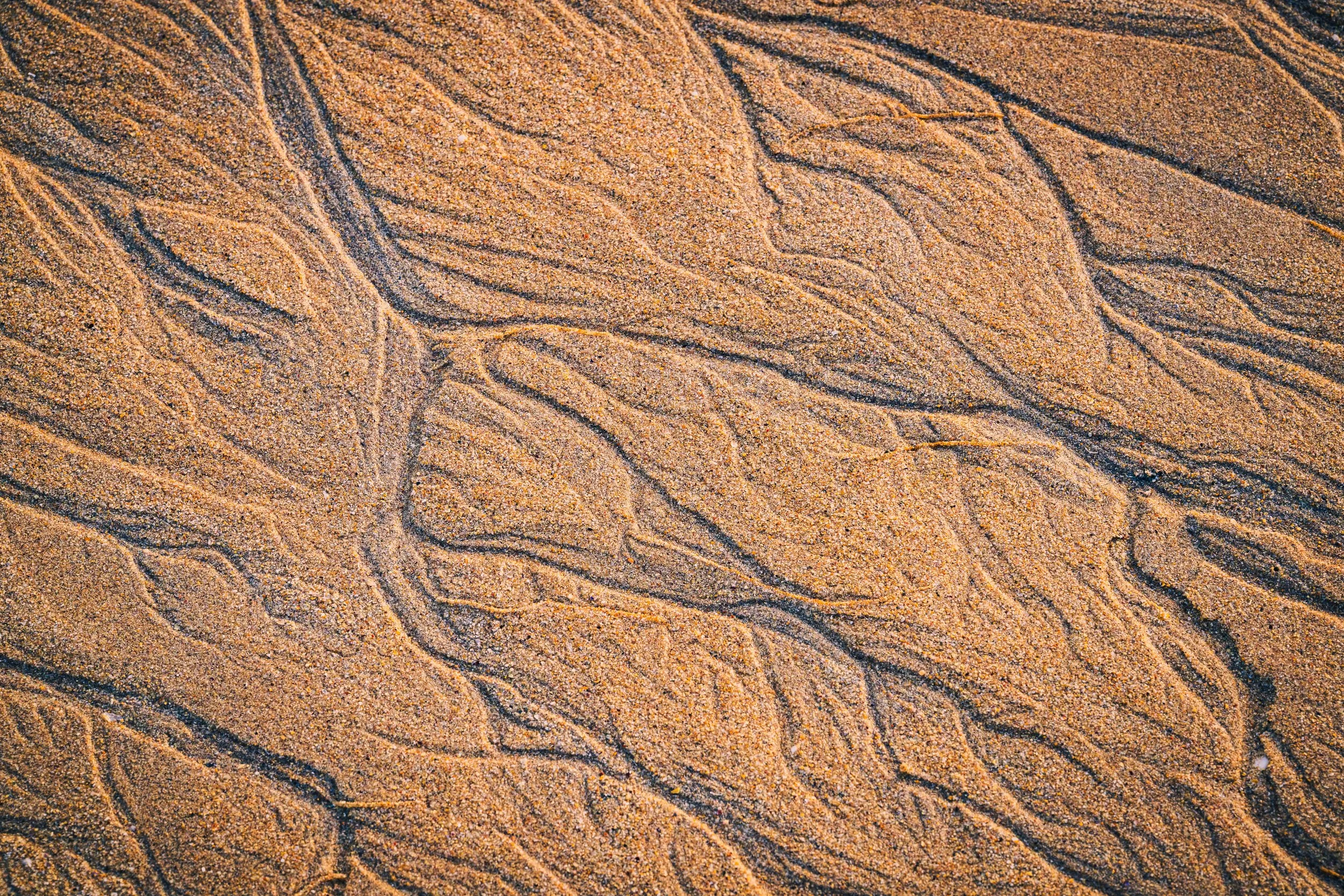 _DSC0471.jpg
