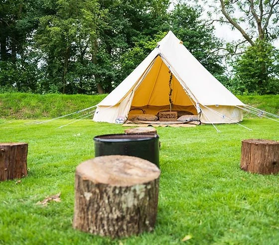 Canvas bell tent with open yellow interior on a grassy campsite, surrounded by tree-stump seats and a fire pit.