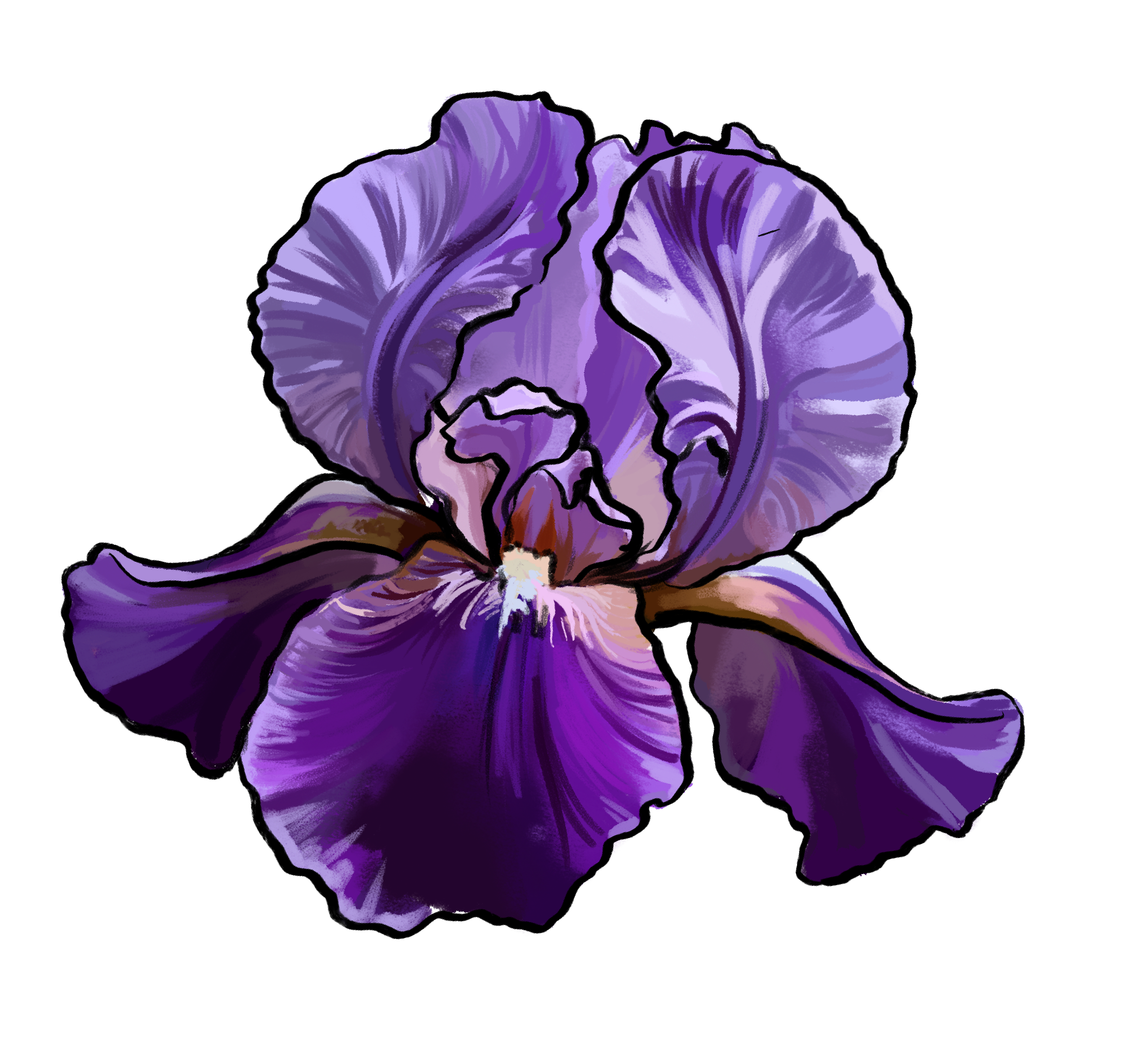 A detailed digital illustration of a purple iris flower with vibrant petals and intricate shading.
