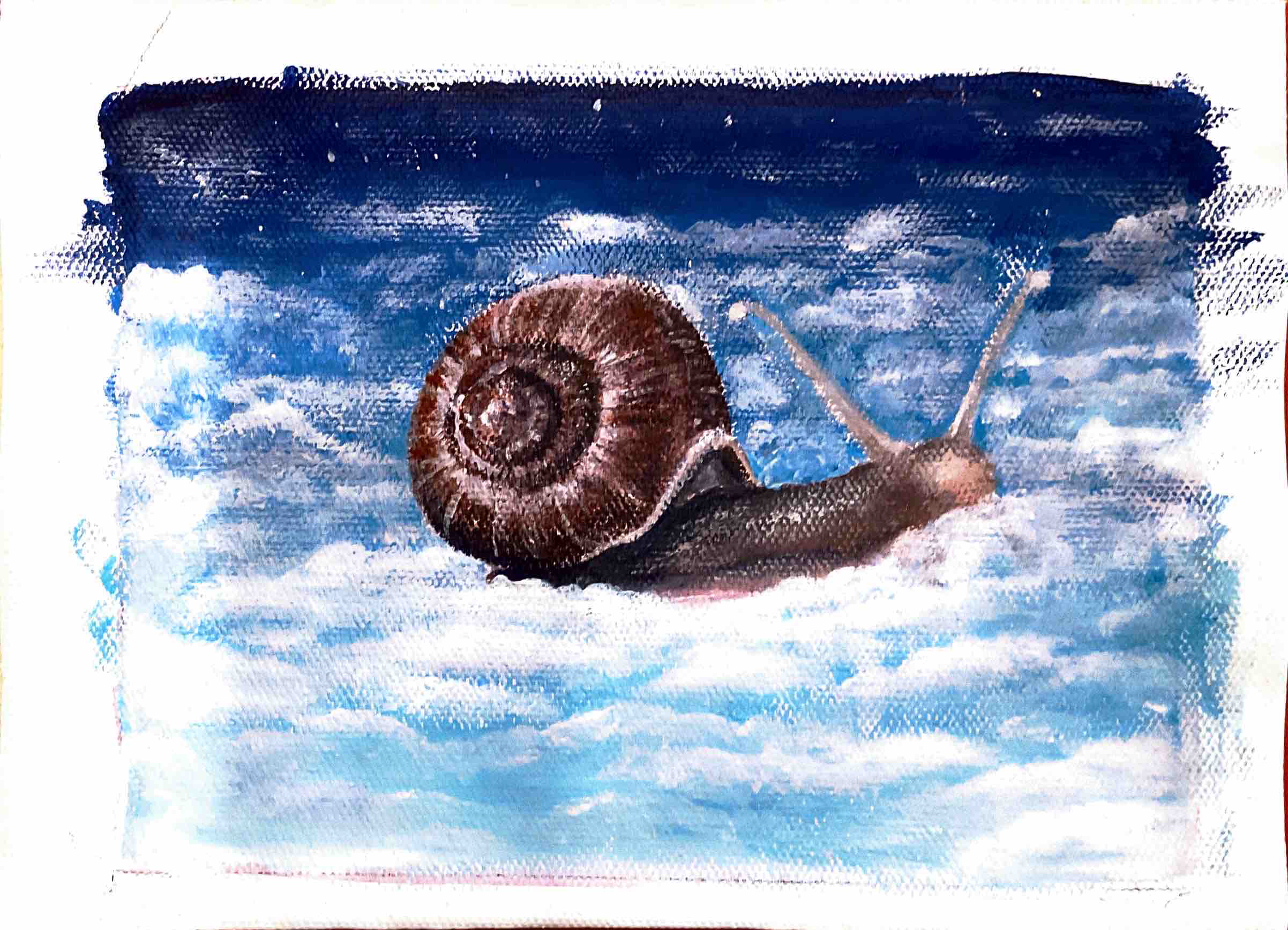 snail.png