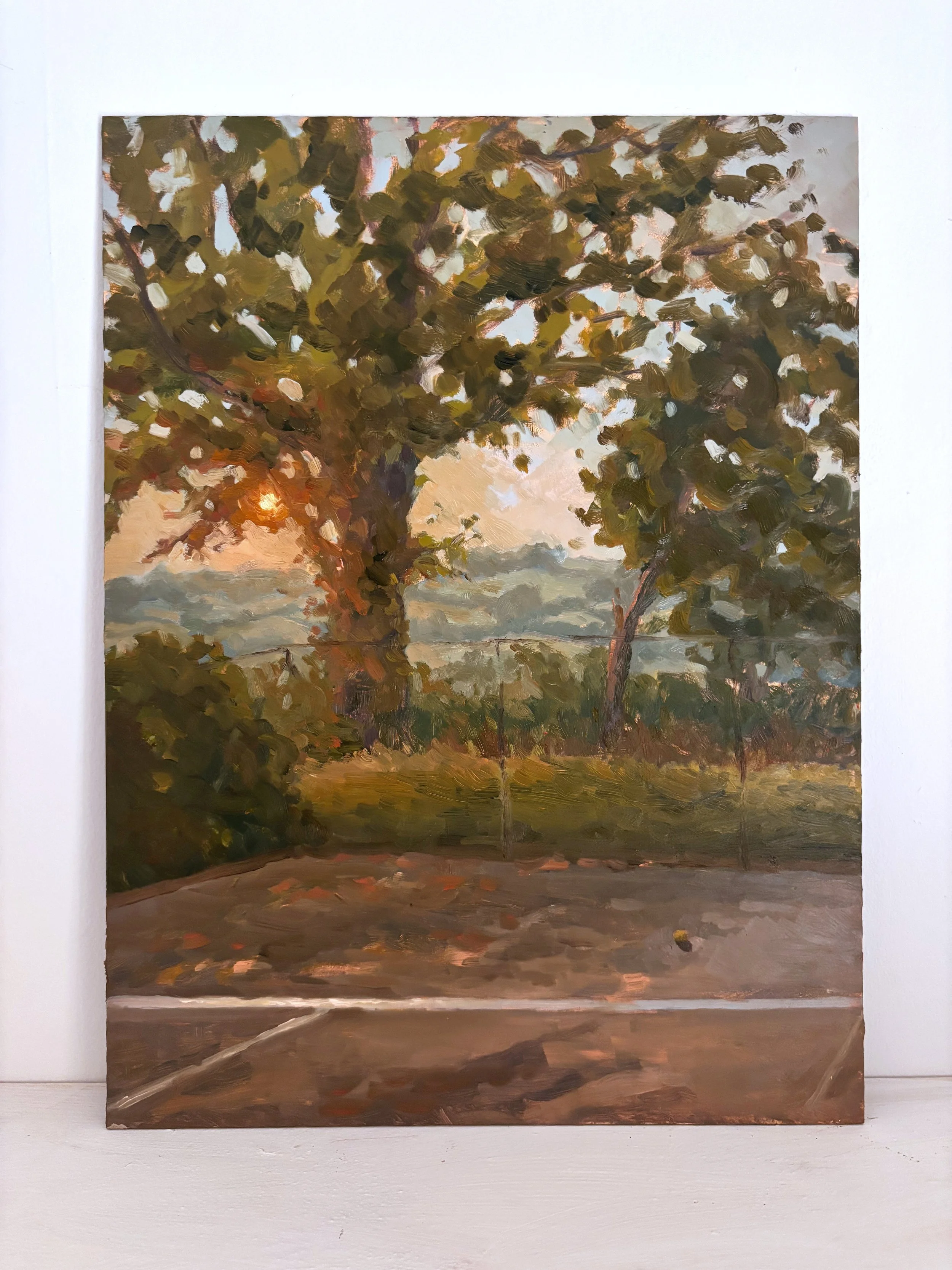 Countryside Views