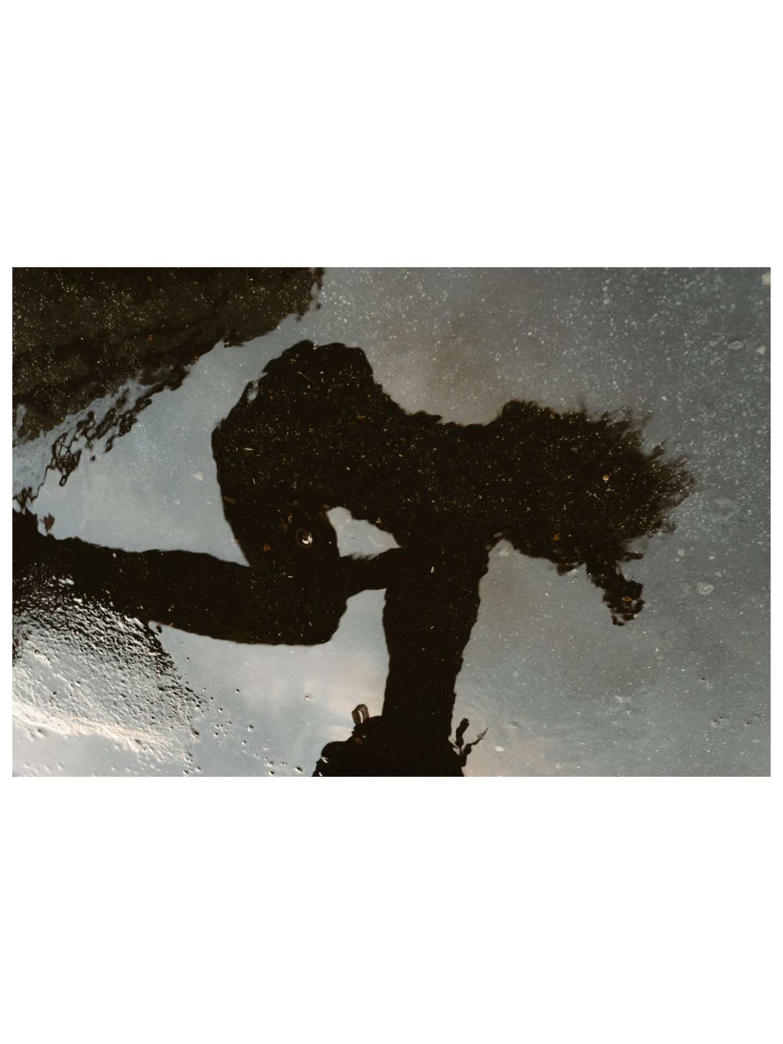 REFLECTION PUDDLE FRAMED.jpg