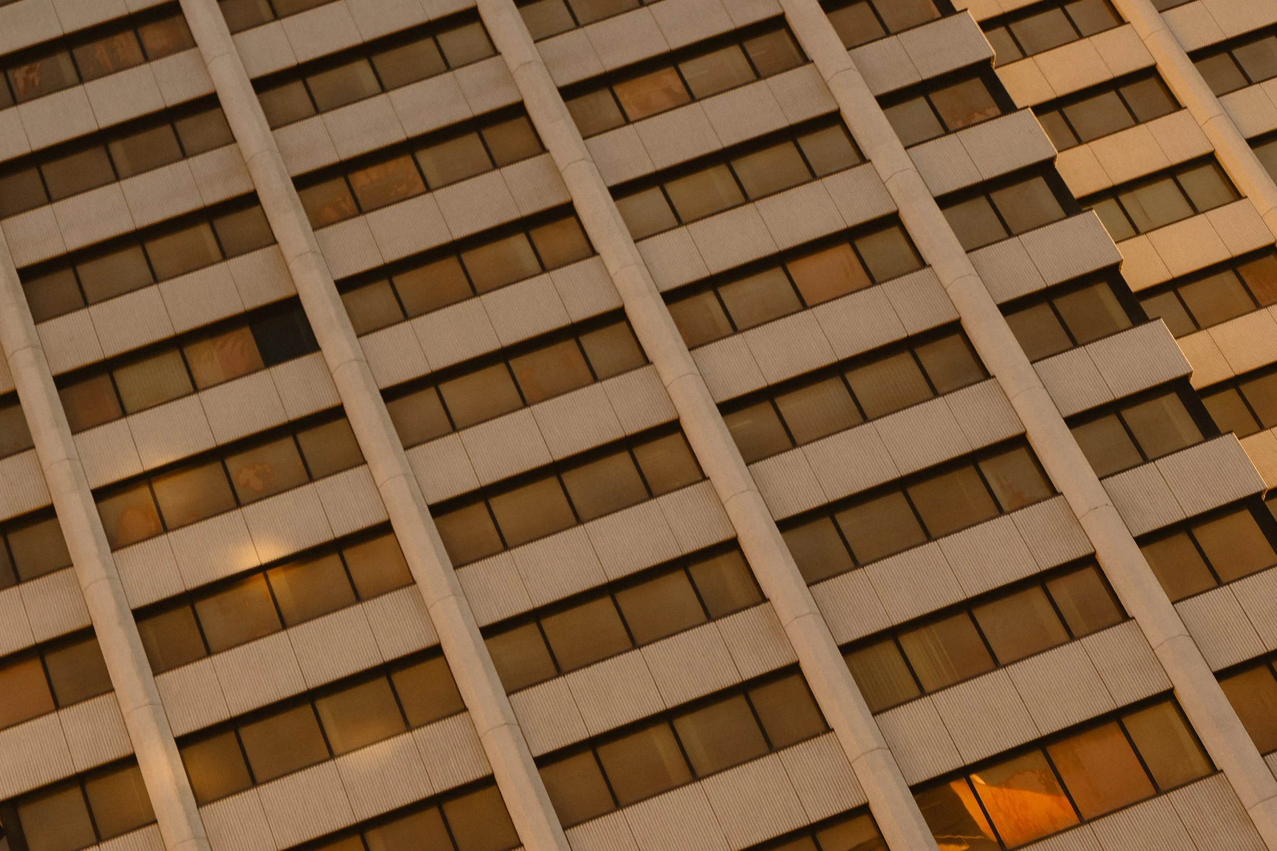 TW_01550-1-3.jpg