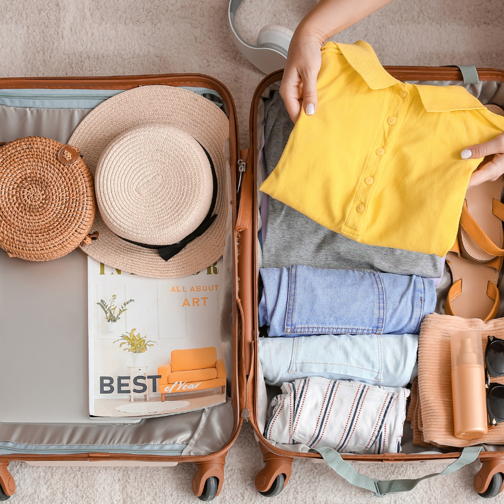 Are Bed Bugs Hiding In The Luggage?