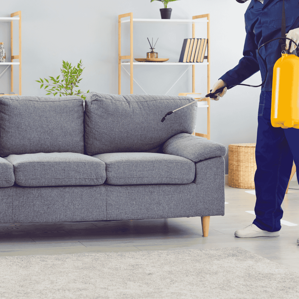 Chemical Treatments vs. Heat: The Superior Method for Bed Bug Control