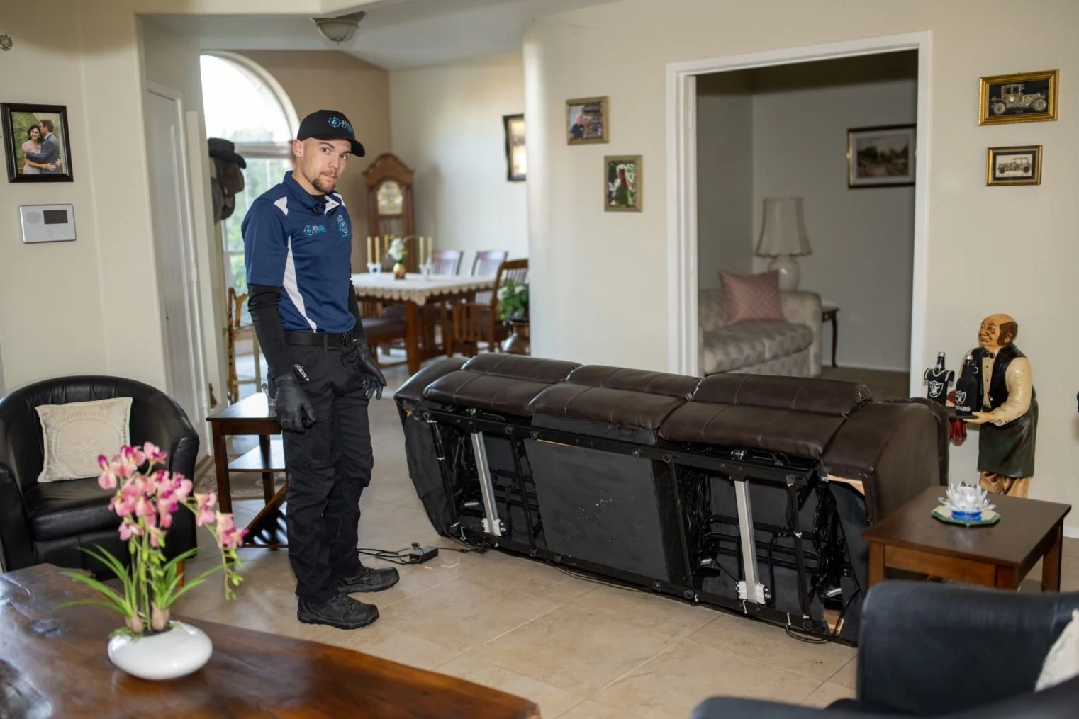 DIY vs. Professional Pest Control: What's Best for a Home