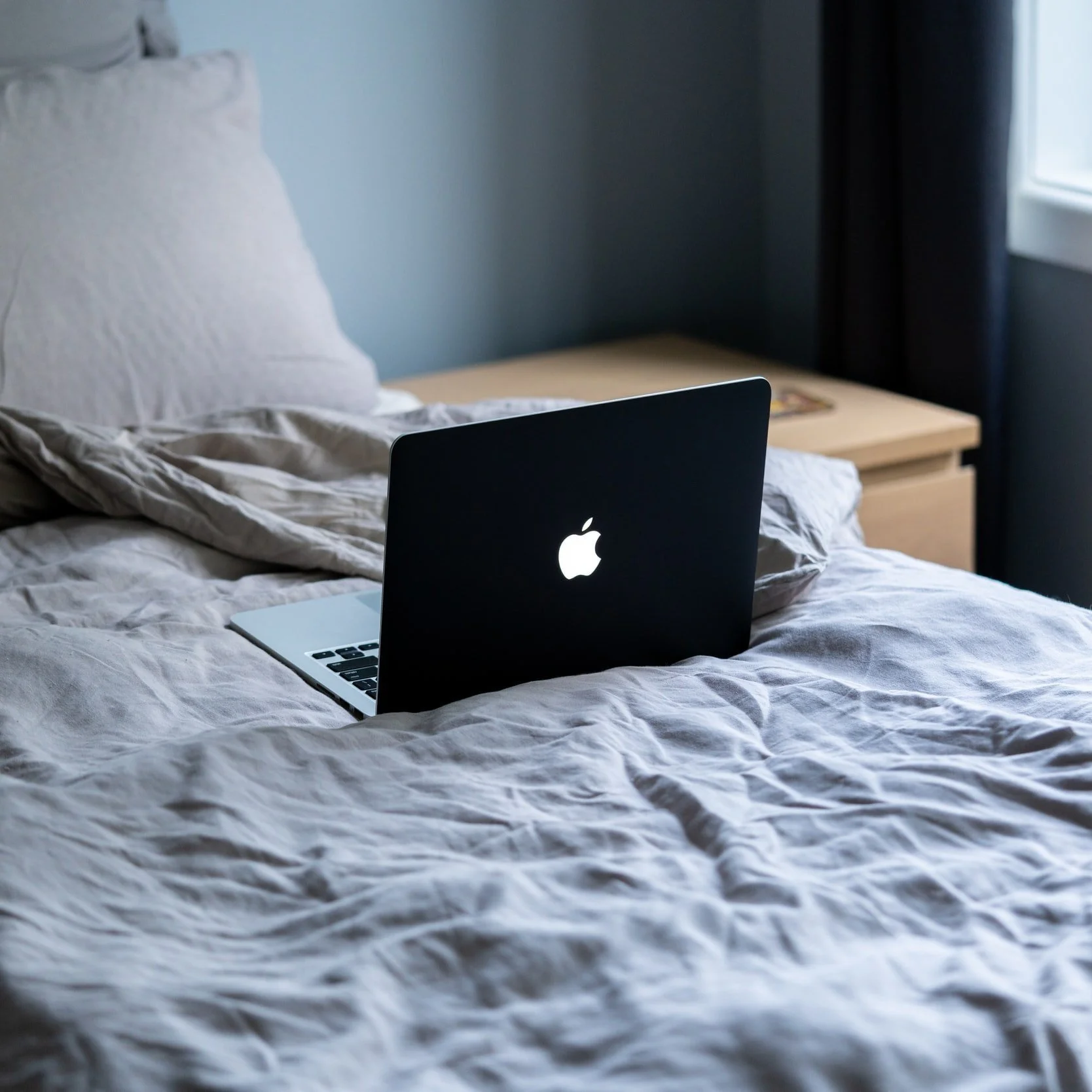 Do Bed Bugs Hide in Electronics?