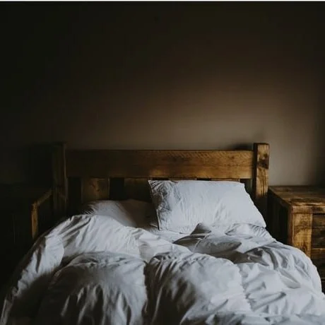 How Fast Can Bed Bugs Spread?