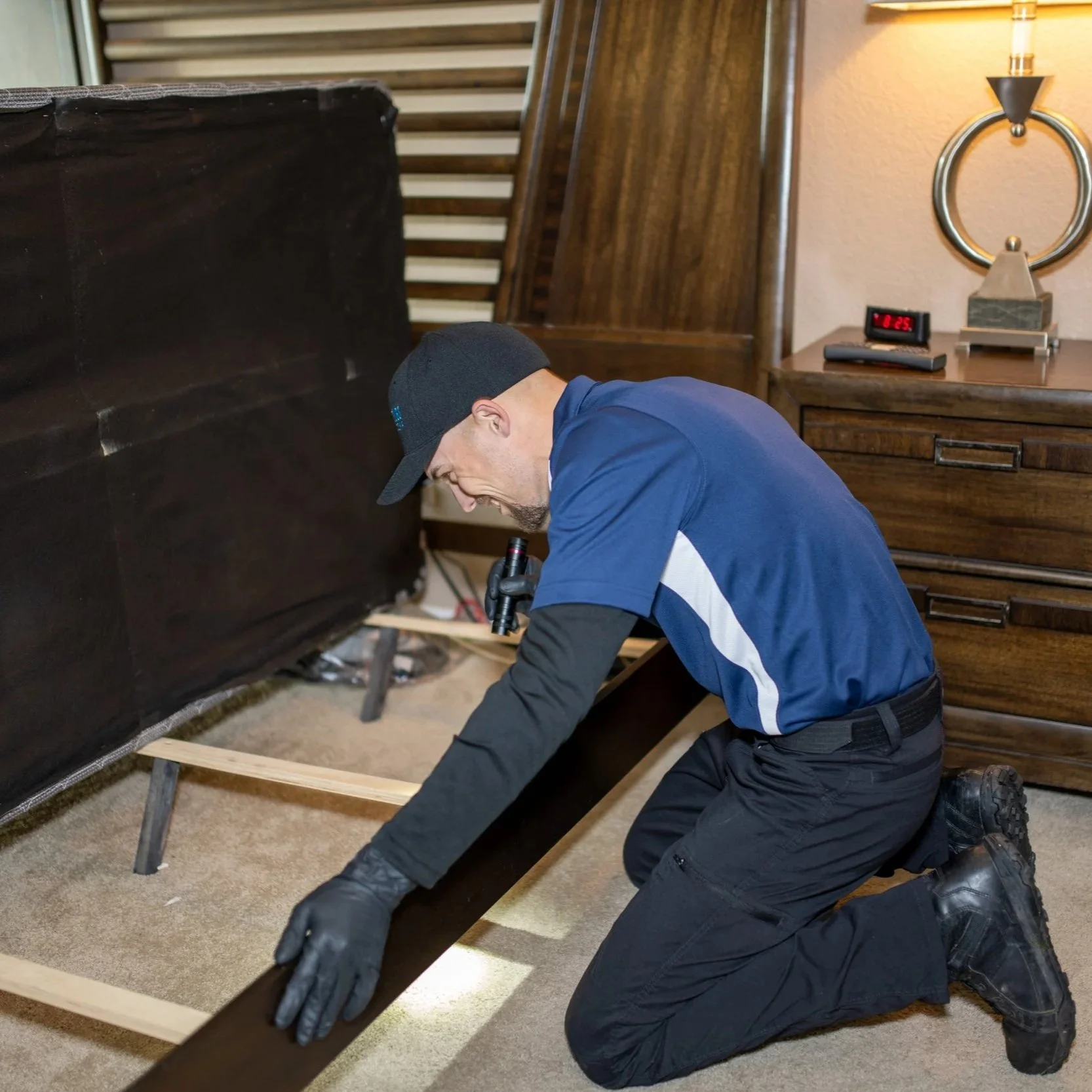 How to Keep Bed Bugs from Spreading in a Home