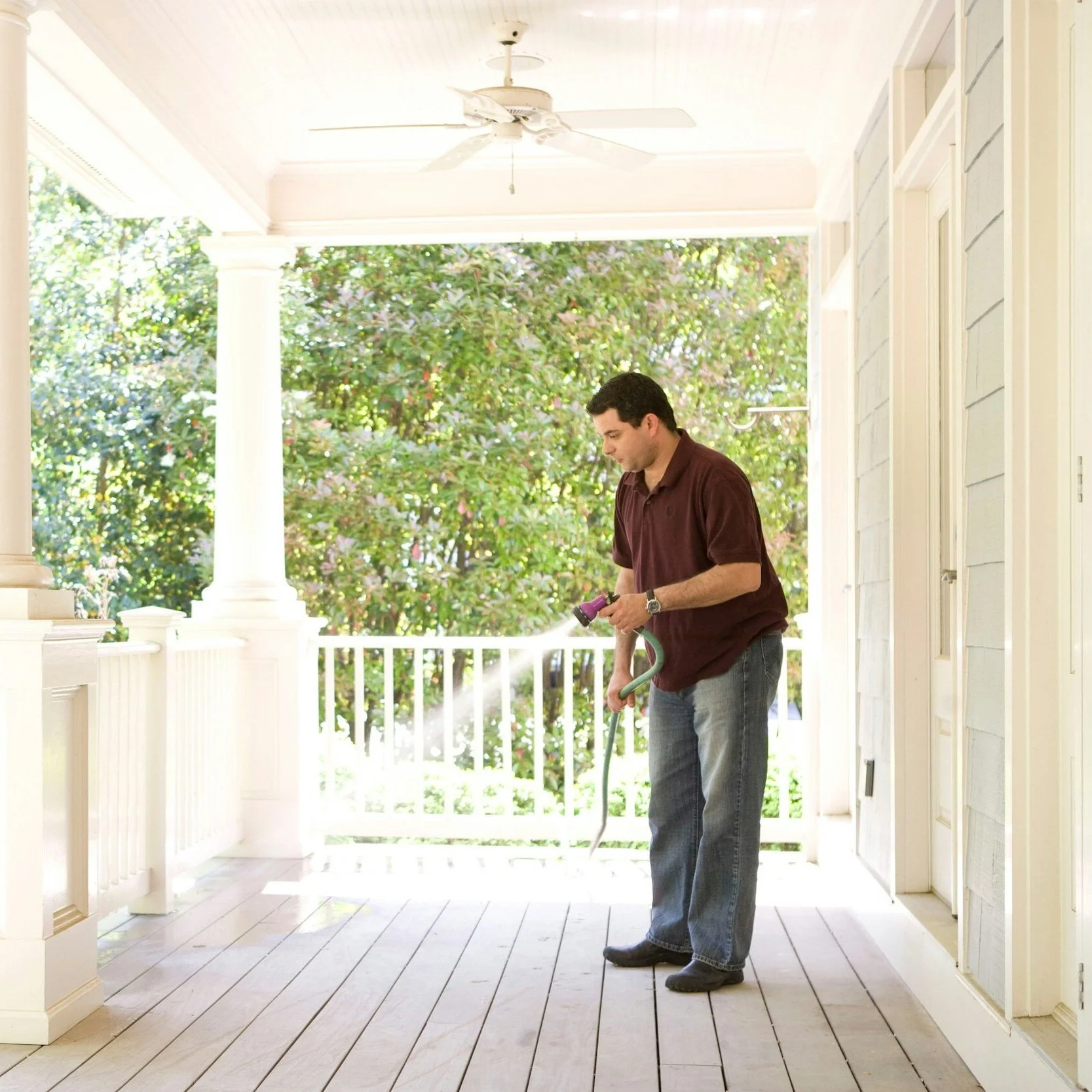 Pests and Property Damage: What Every Homeowner Should Know