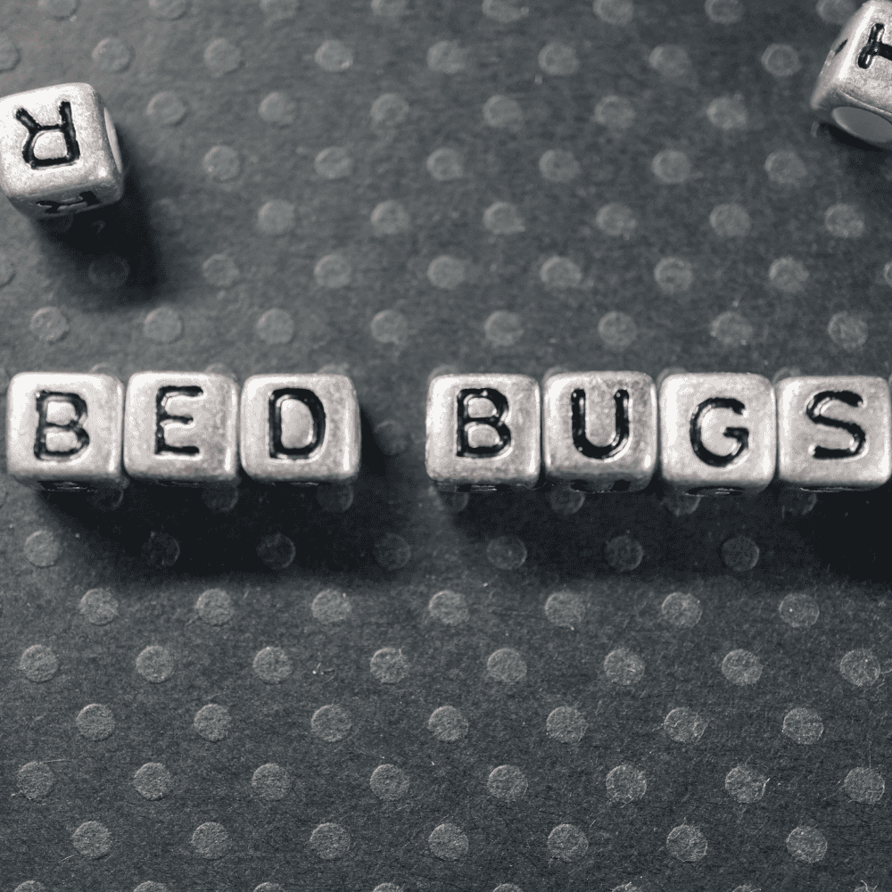 The Science of Bed Bugs: Understanding Their Life Cycle and Behavior