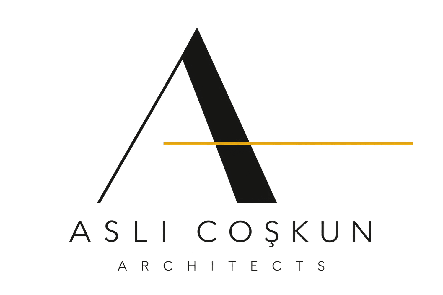 ASLI COŞKUN ARCHITECTS (Copy)