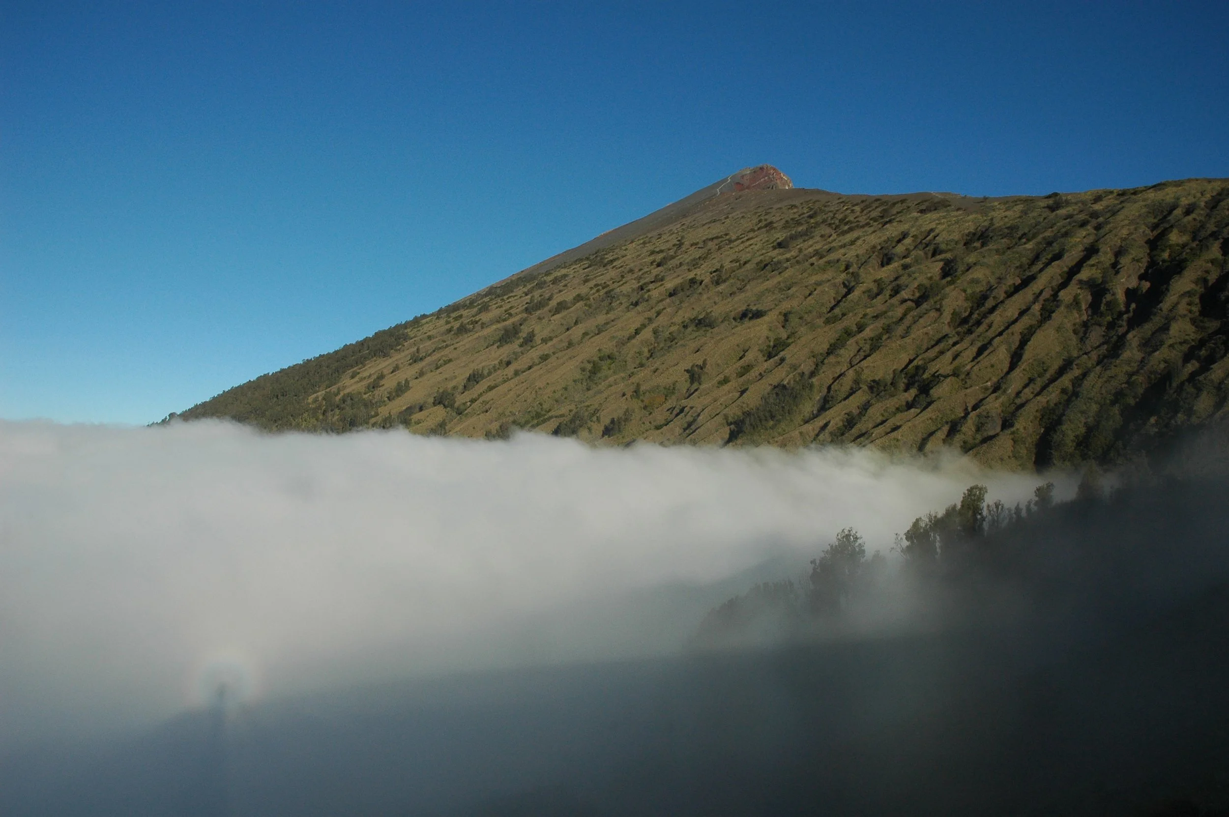 A mountain with green slopes under a clear blue sky, partially covered by a layer of white clouds at the base.
