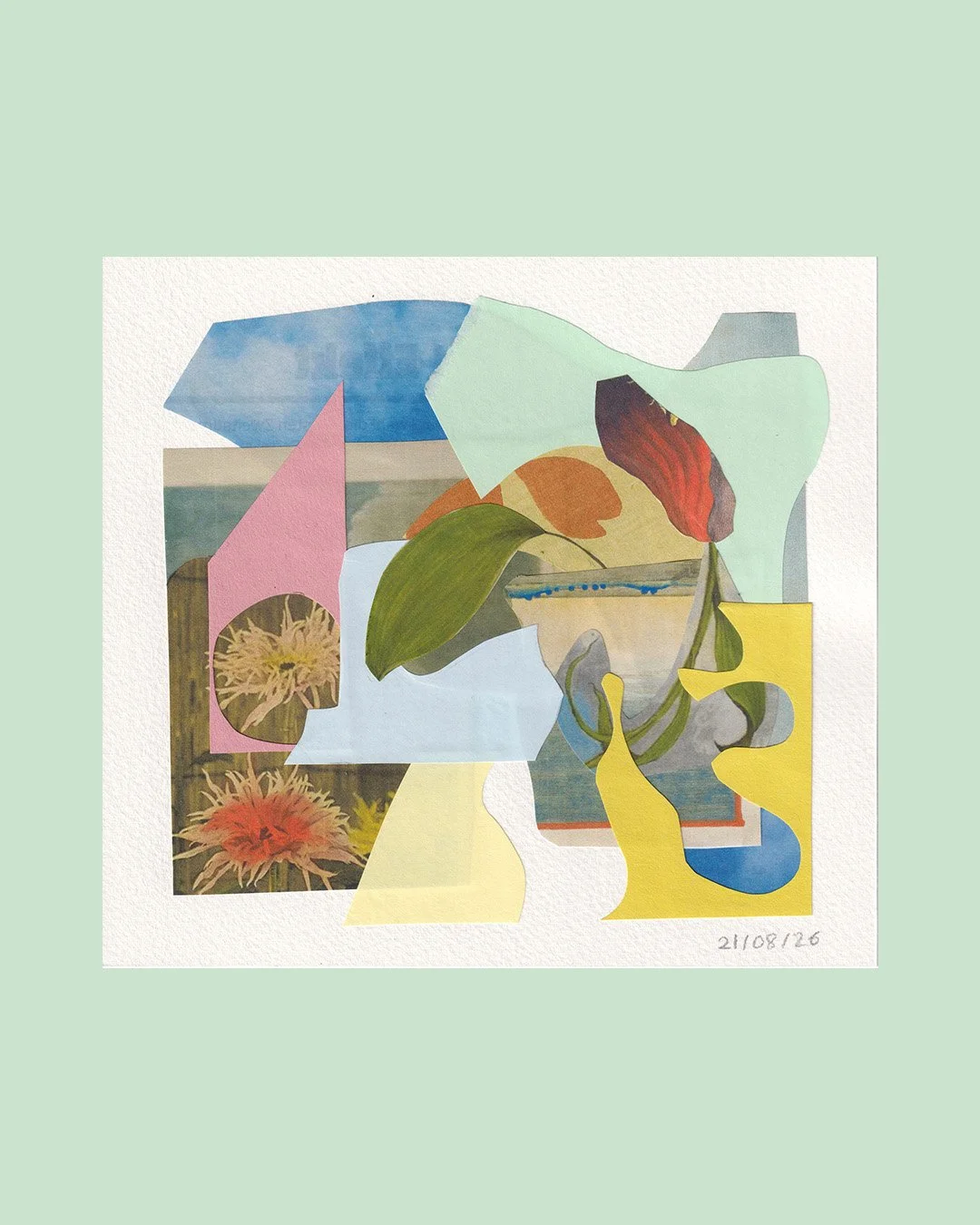 Scan d'un collage abstrait avec des formes, des fleurs et des texturessur fond vert