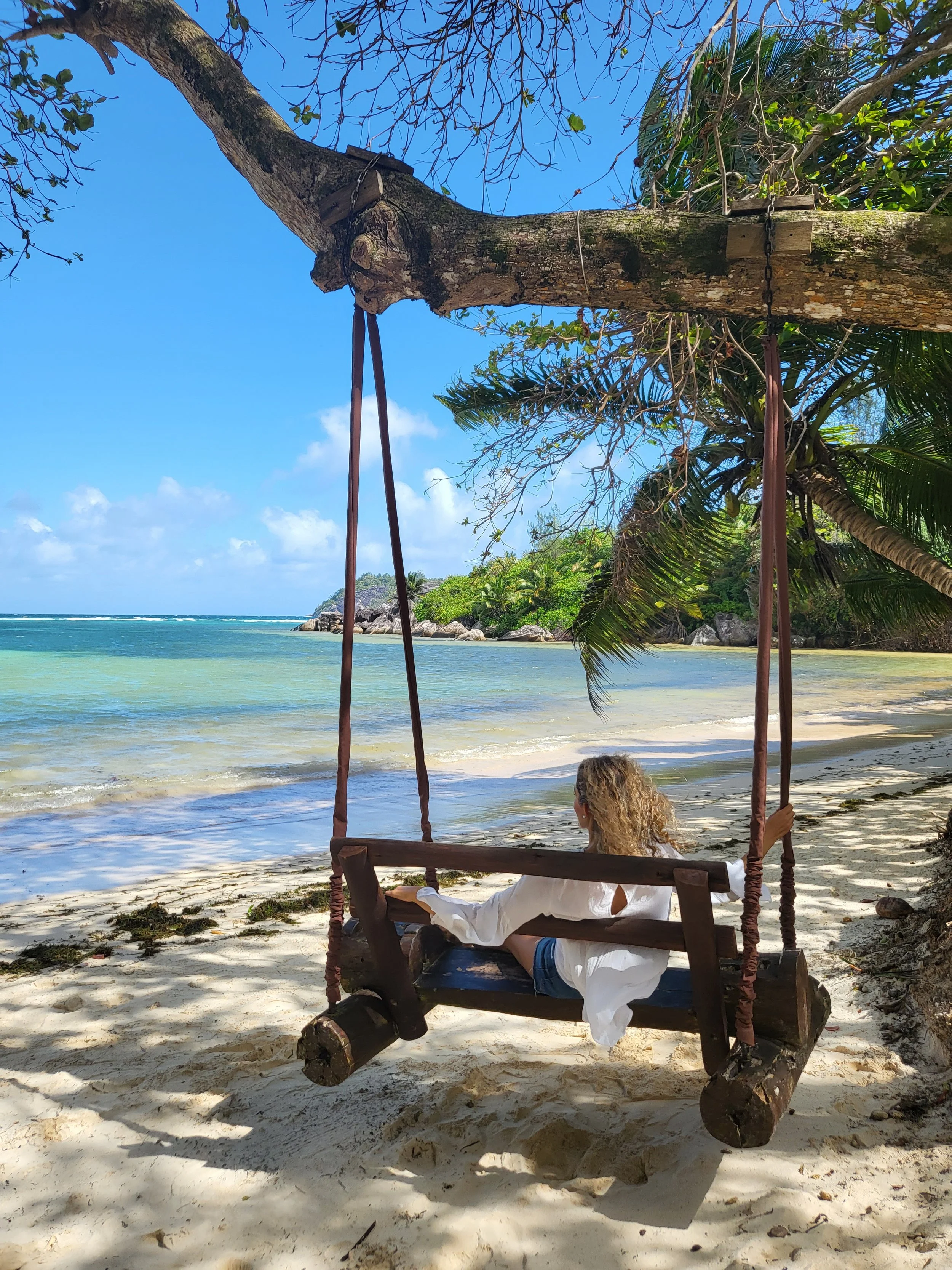 A woman with curly blonde hair sitting on a rustic wooden swing on a sandy beach, overlooking the ocean with a rocky shoreline and lush green trees in the background.