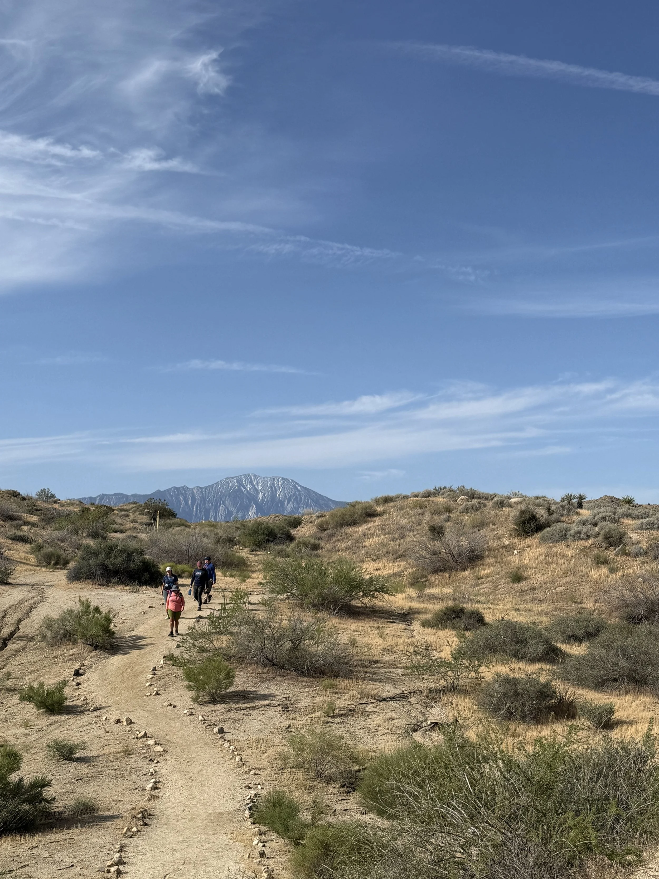 Big Morongo Preserve_April.jpeg