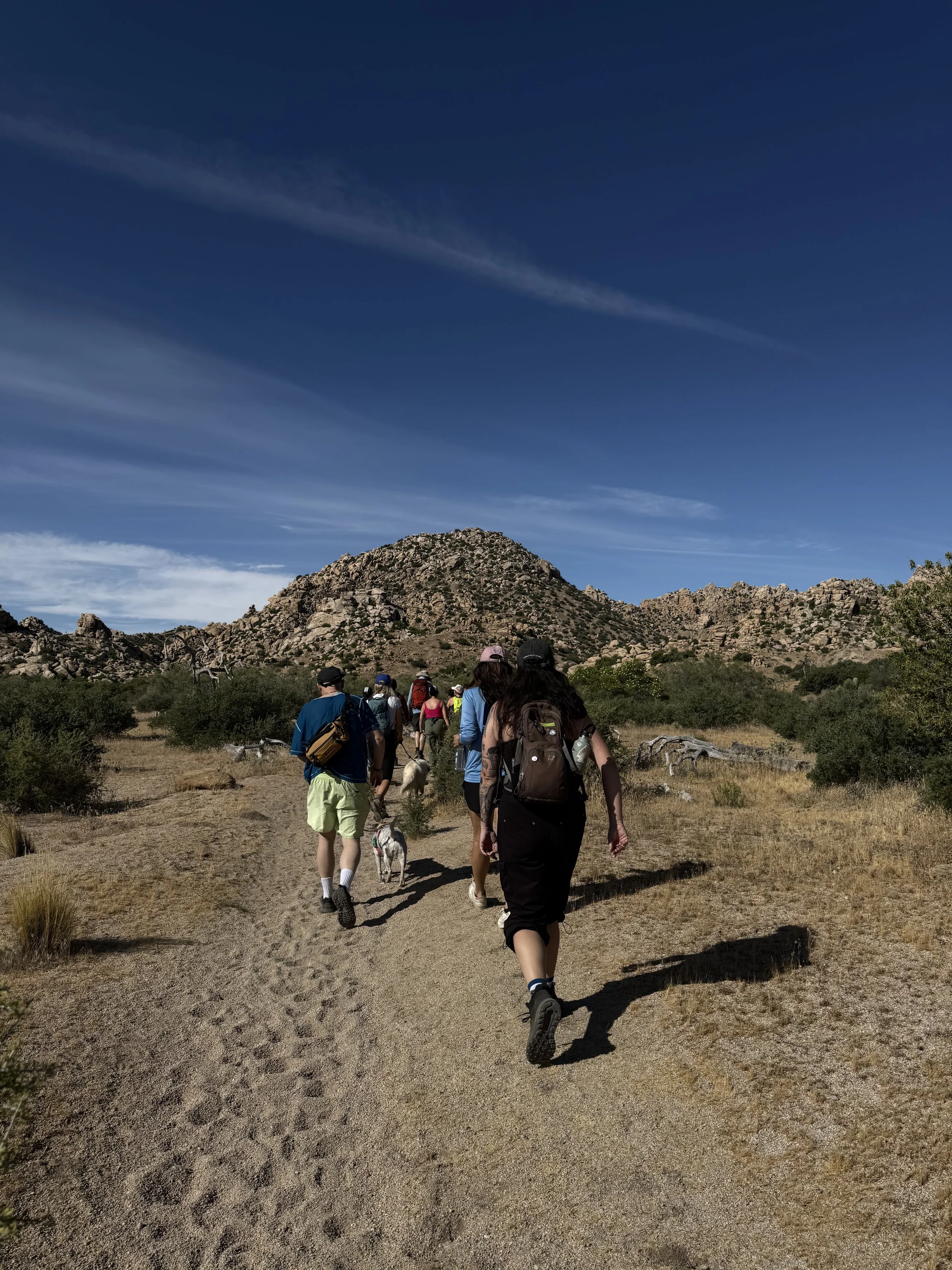 Pioneertown Preserve_May.jpeg