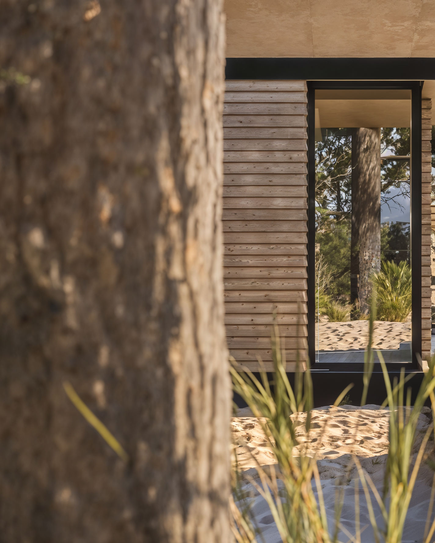 Janela de uma arquitetura moderna com estrutura metálica, vista para uma paisagem com árvores e areia, ao lado de uma parede de madeira