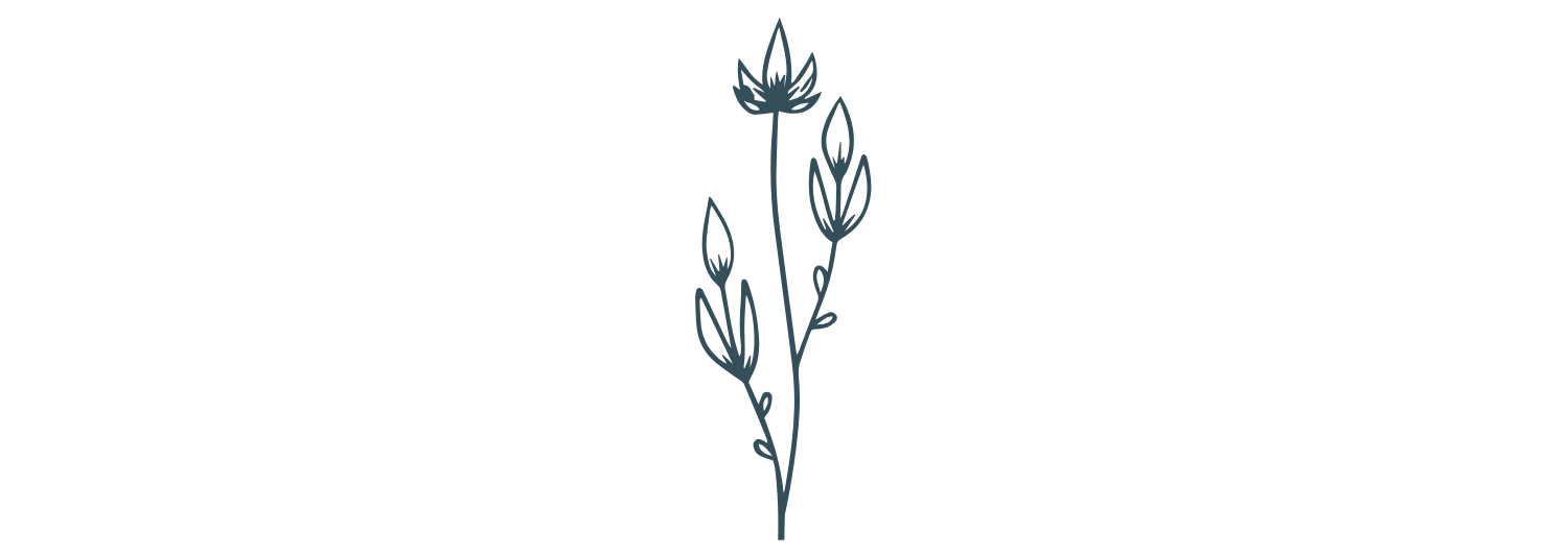 Simple line drawing of a vertical plant with leaves and buds