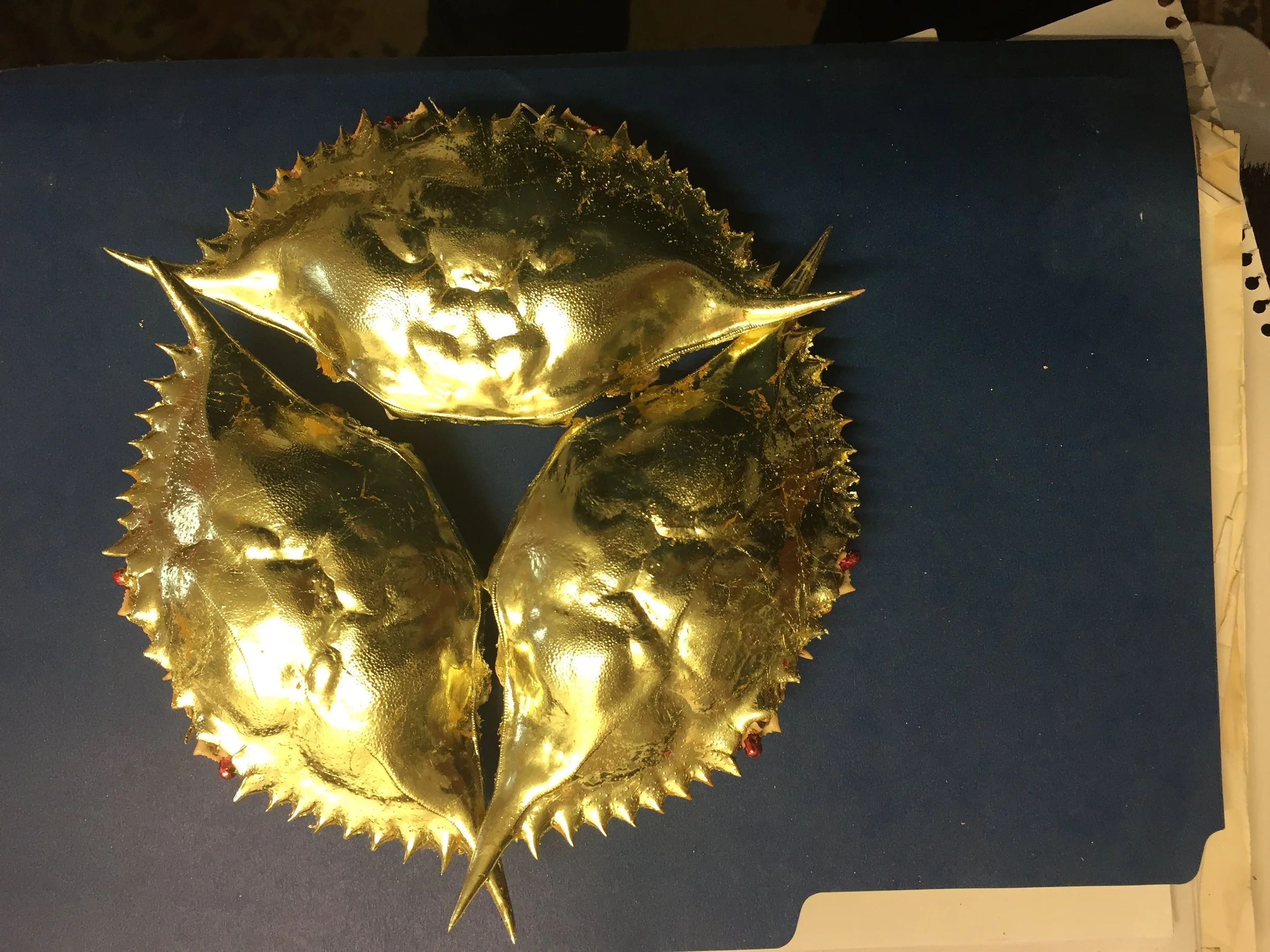 crab