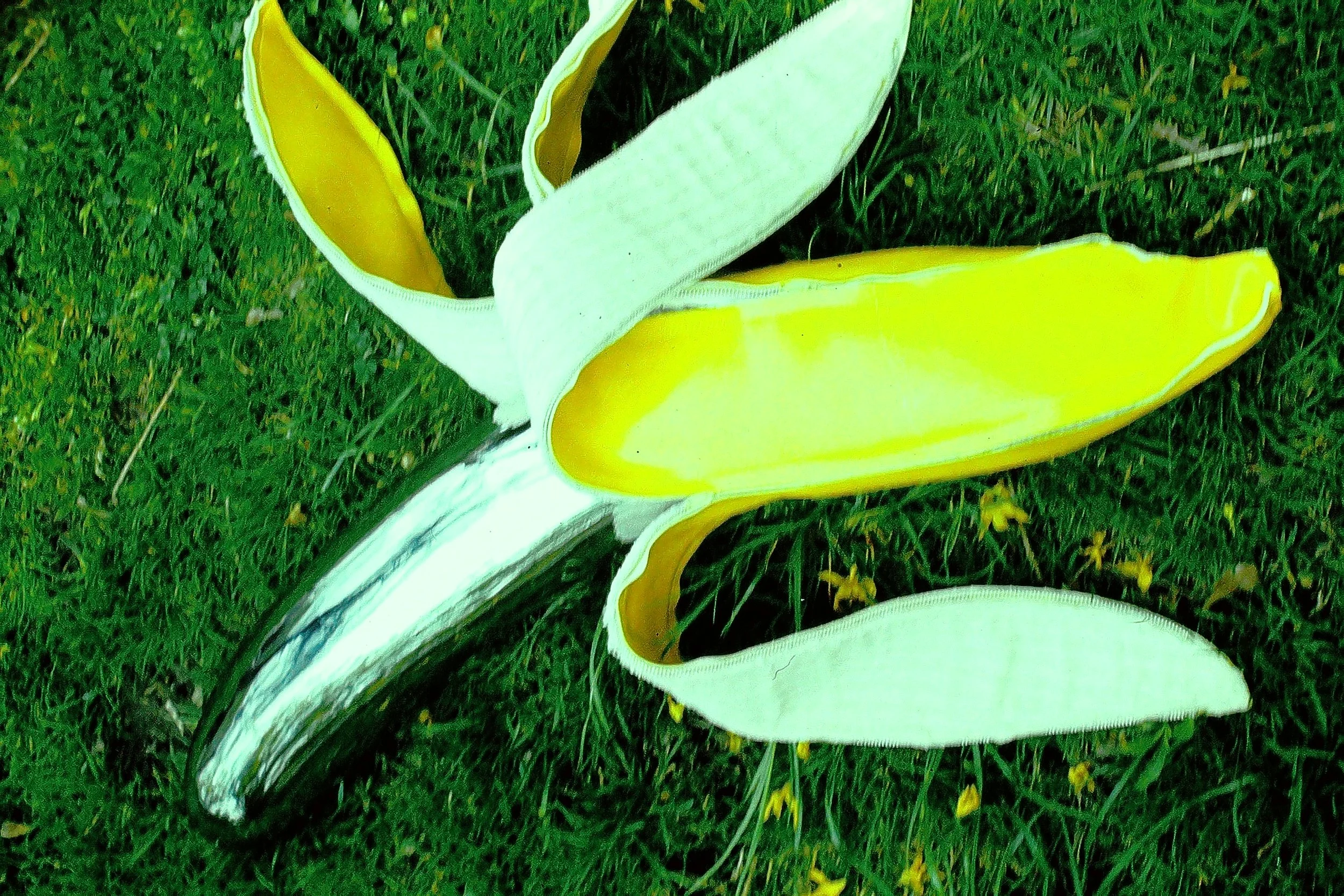 sculpture