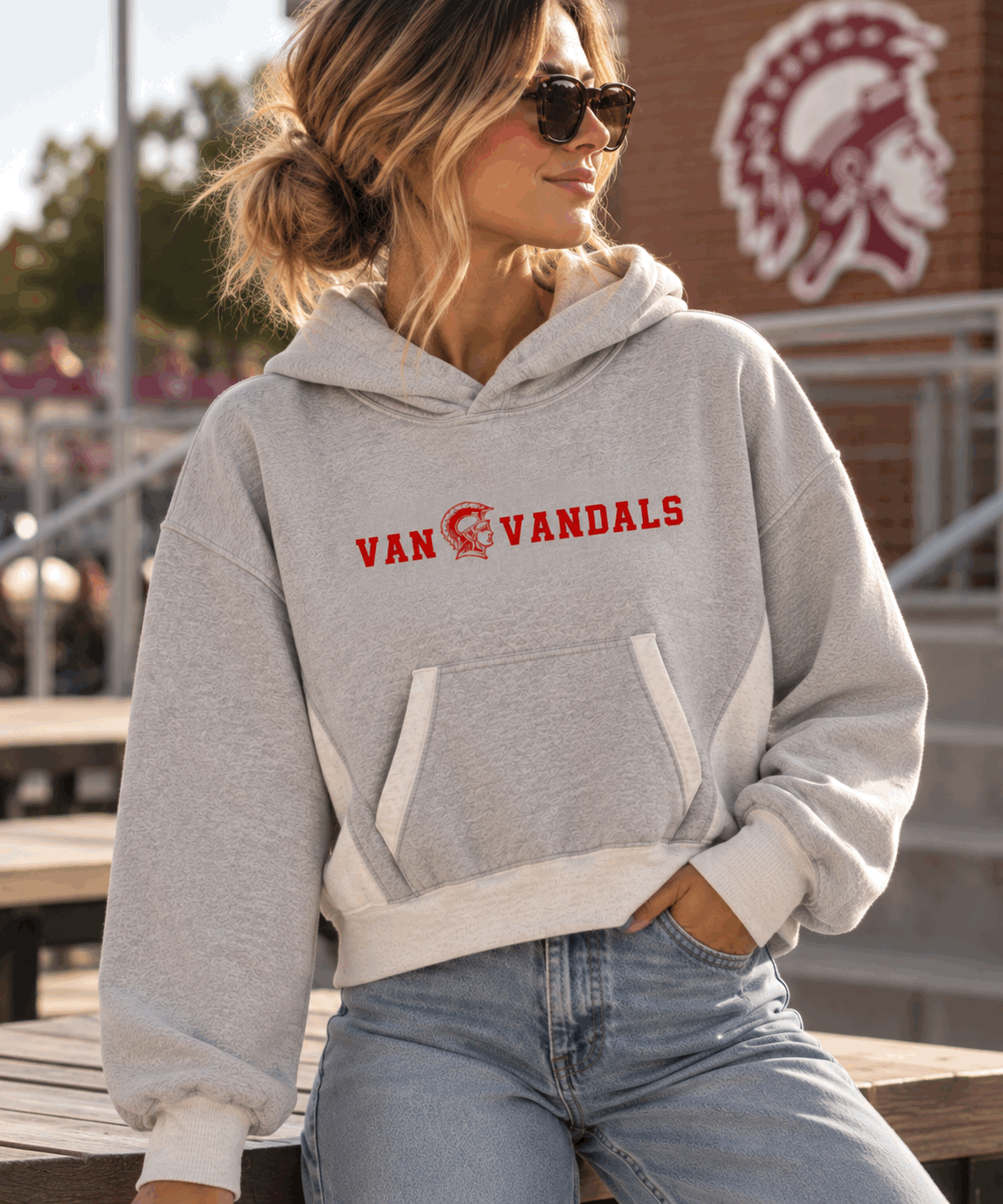 Van Vandals Color Block Hoodie