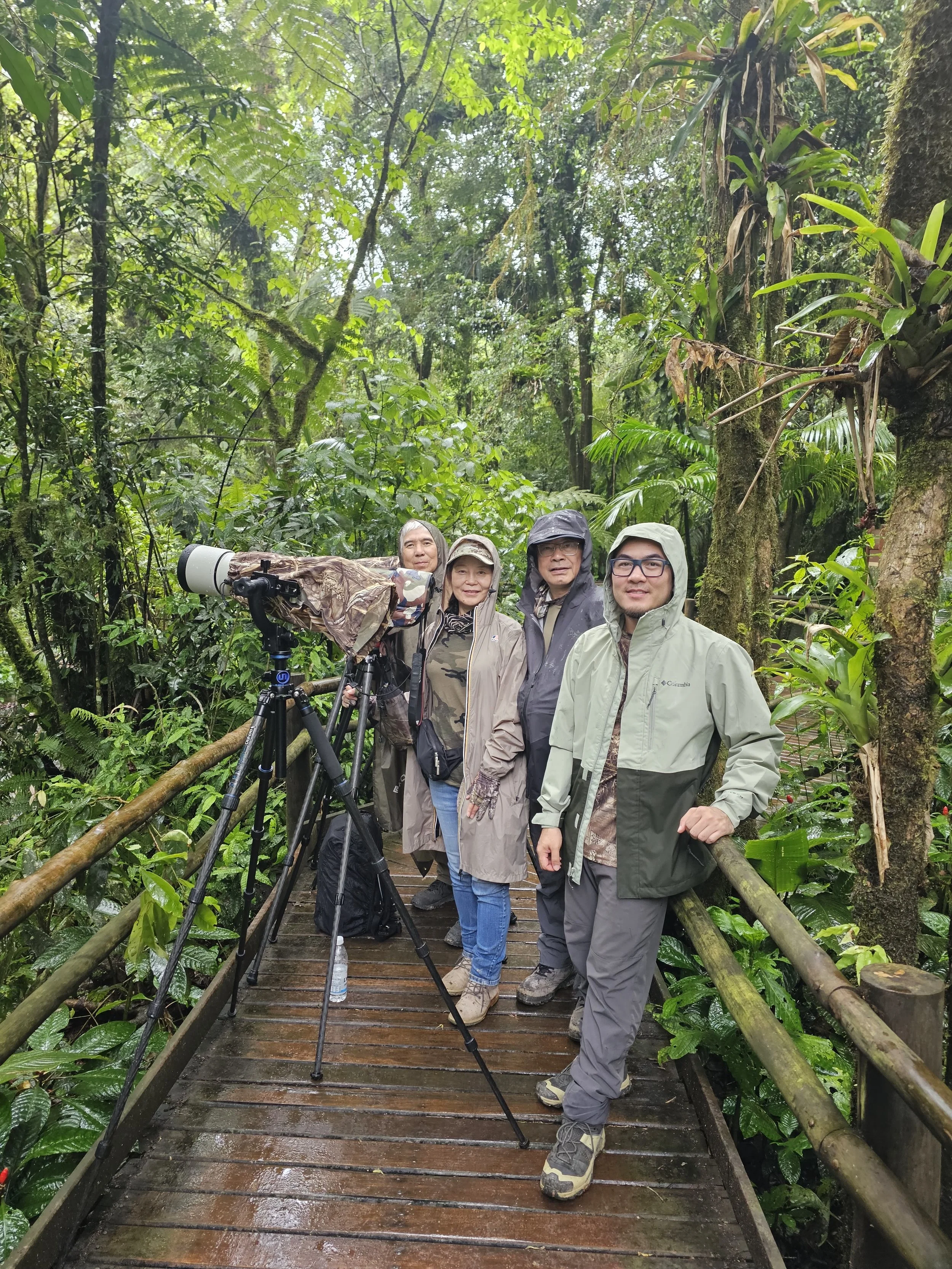 Four birdwatchers with a camouflaged spotting scope on a wet wooden bridge in a lush tropical rainforest.