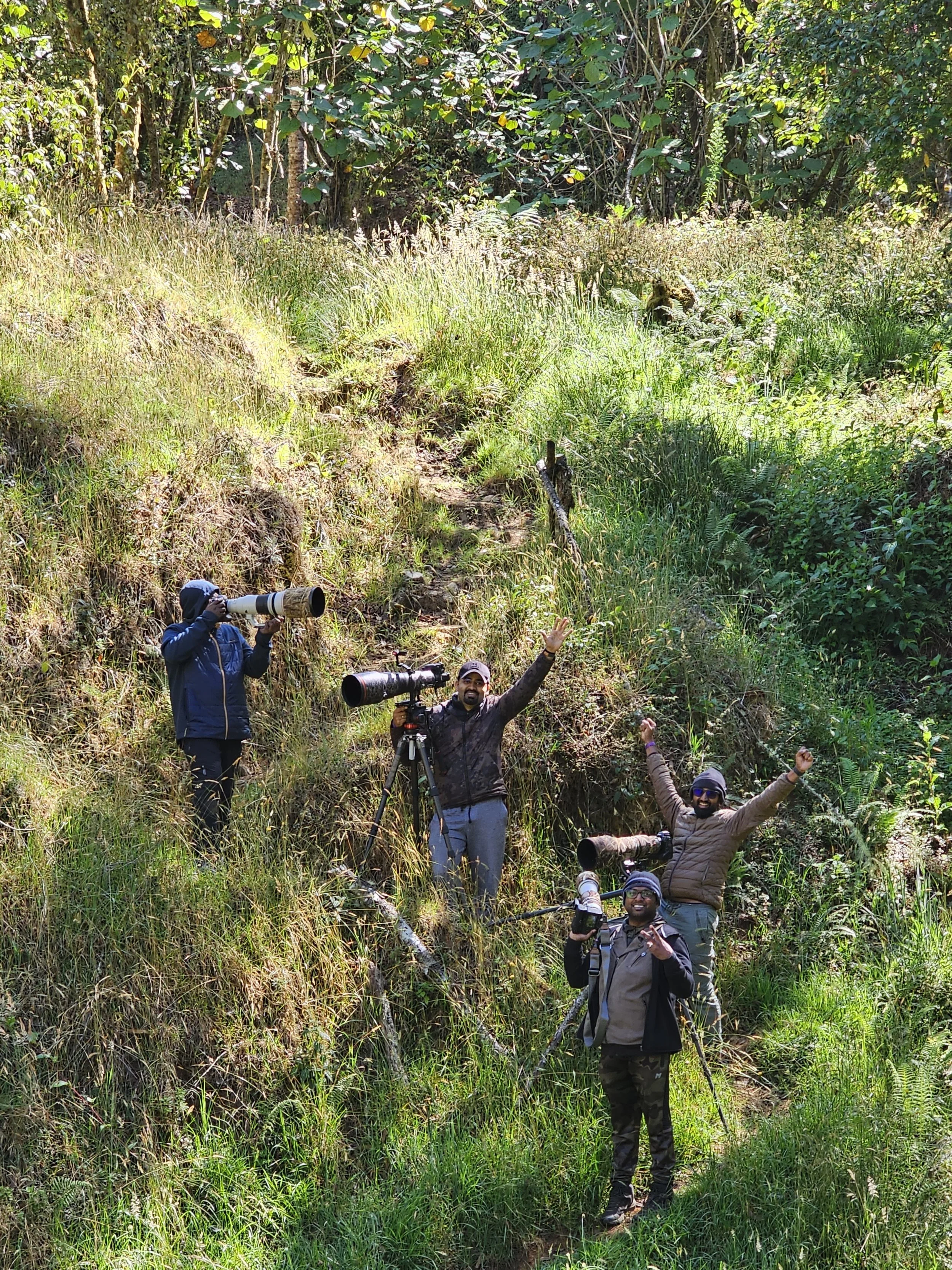 Wildlife photographers with telephoto cameras trek through a sunlit, dense forest trail.