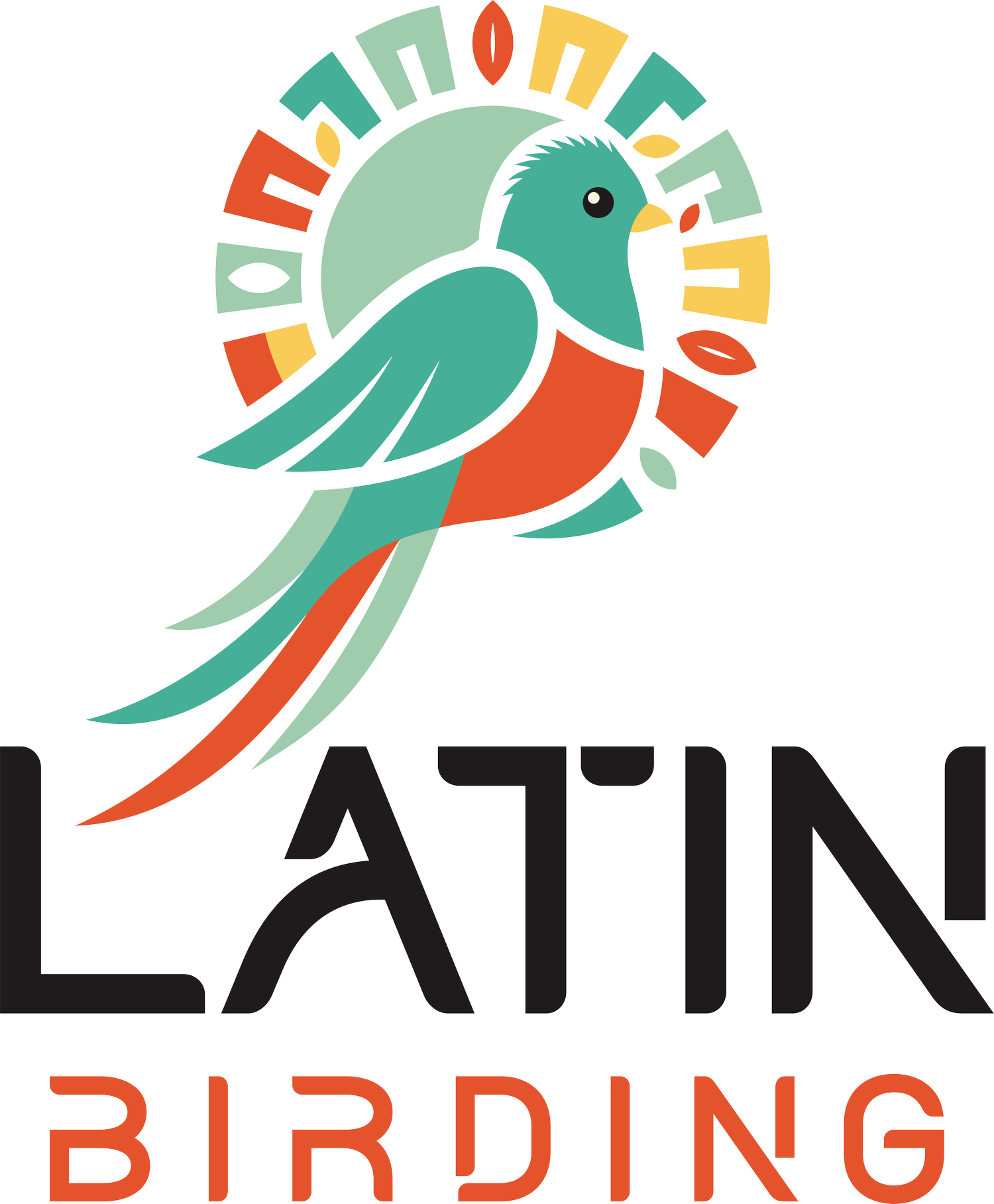 Latin Birding