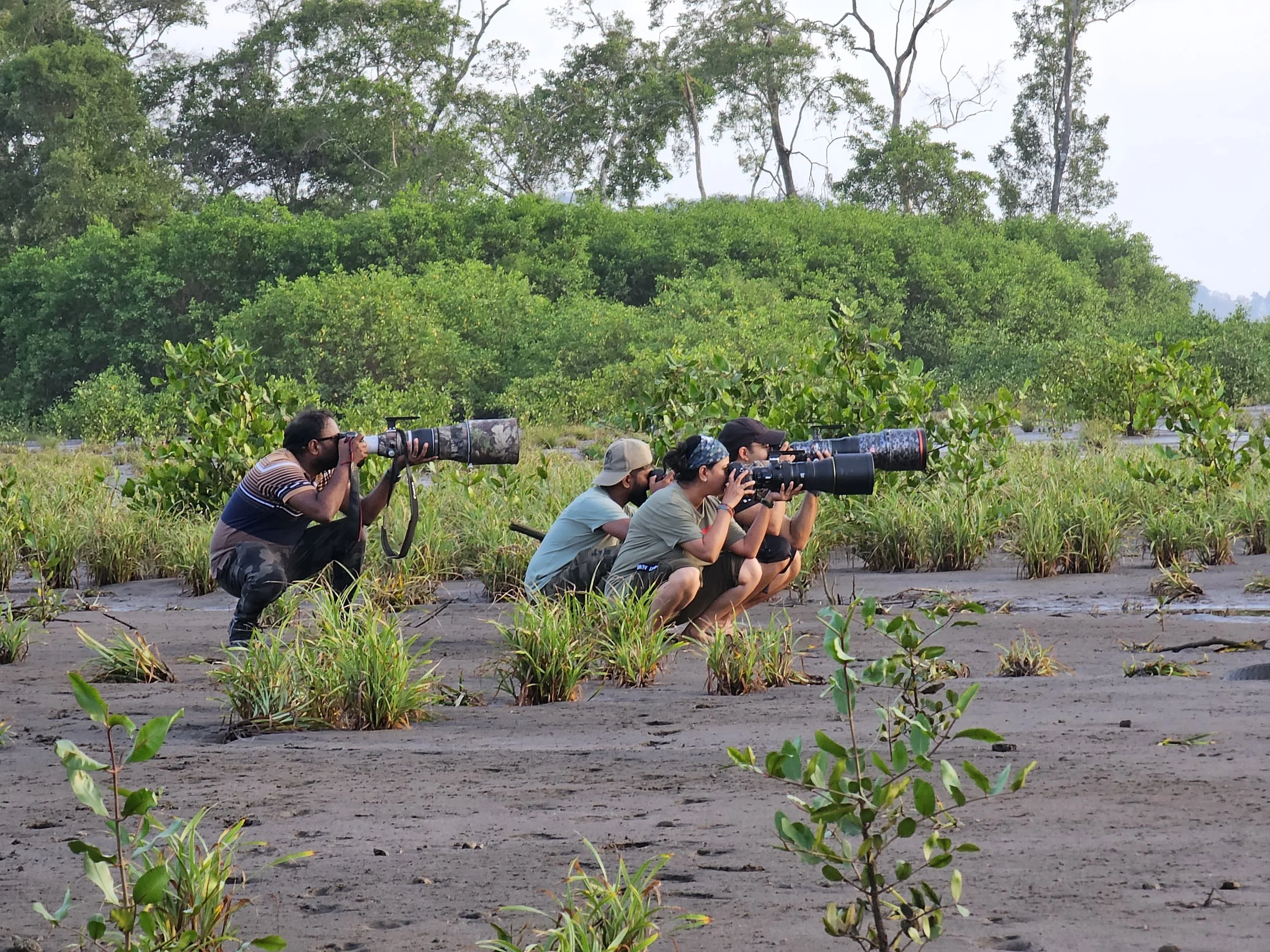 Wildlife photographers crouch on a sandy beach, using long telephoto camera lenses near coastal vegetation.