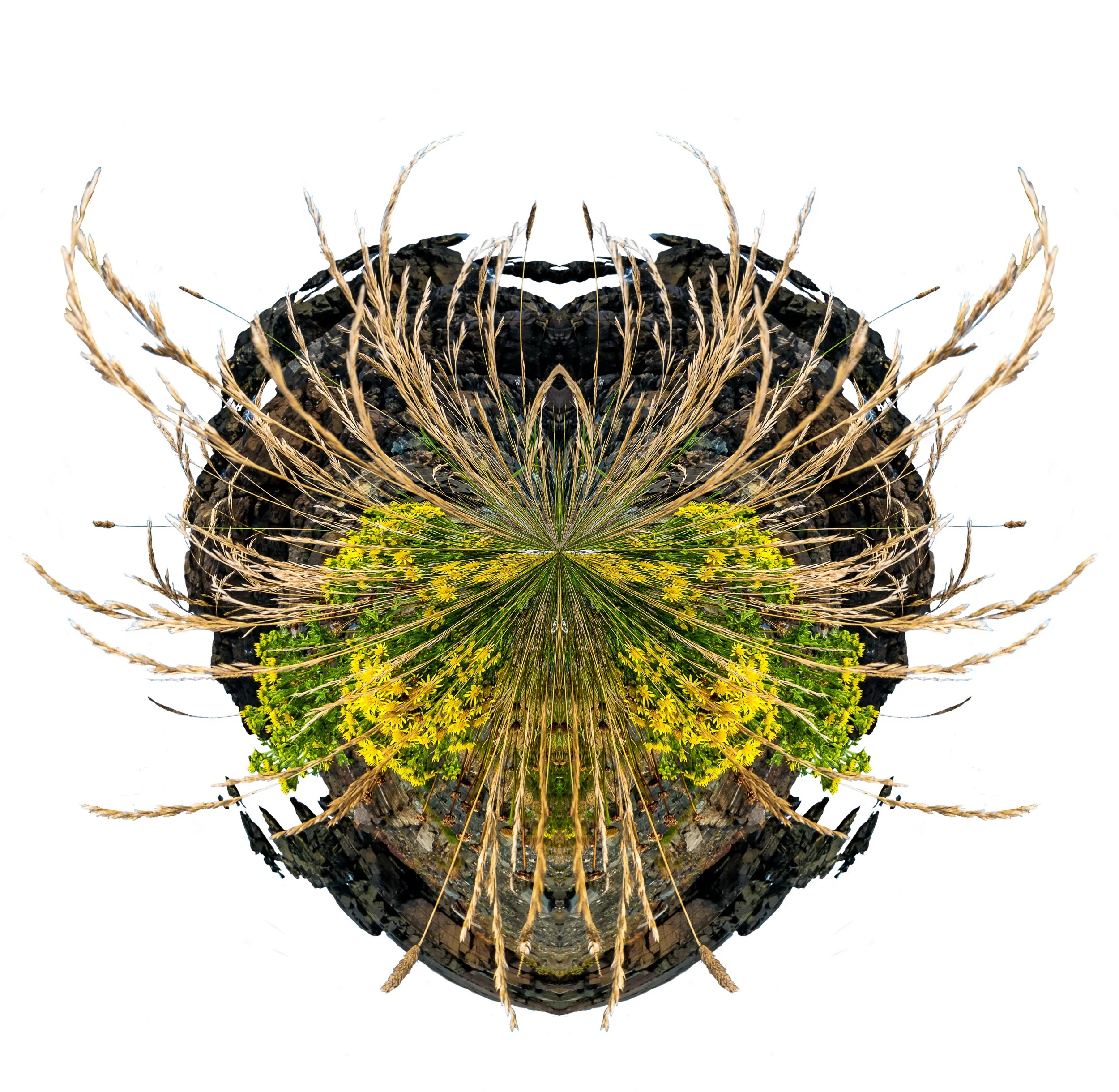 Unnatural Histories-11.jpg
