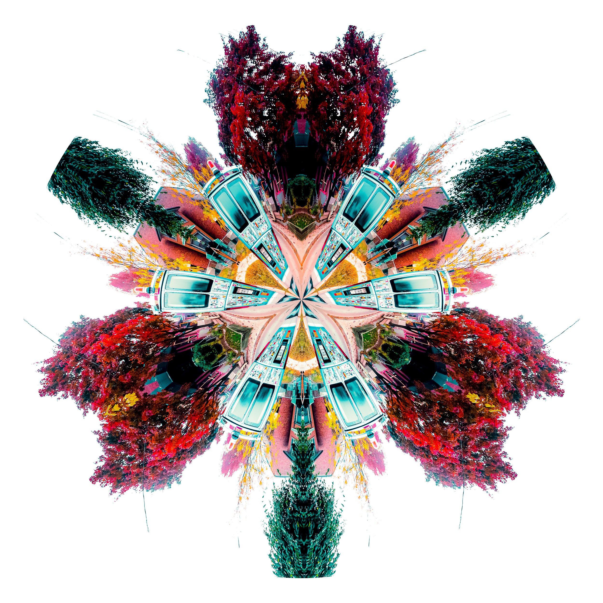 Unnatural Histories-5.jpg