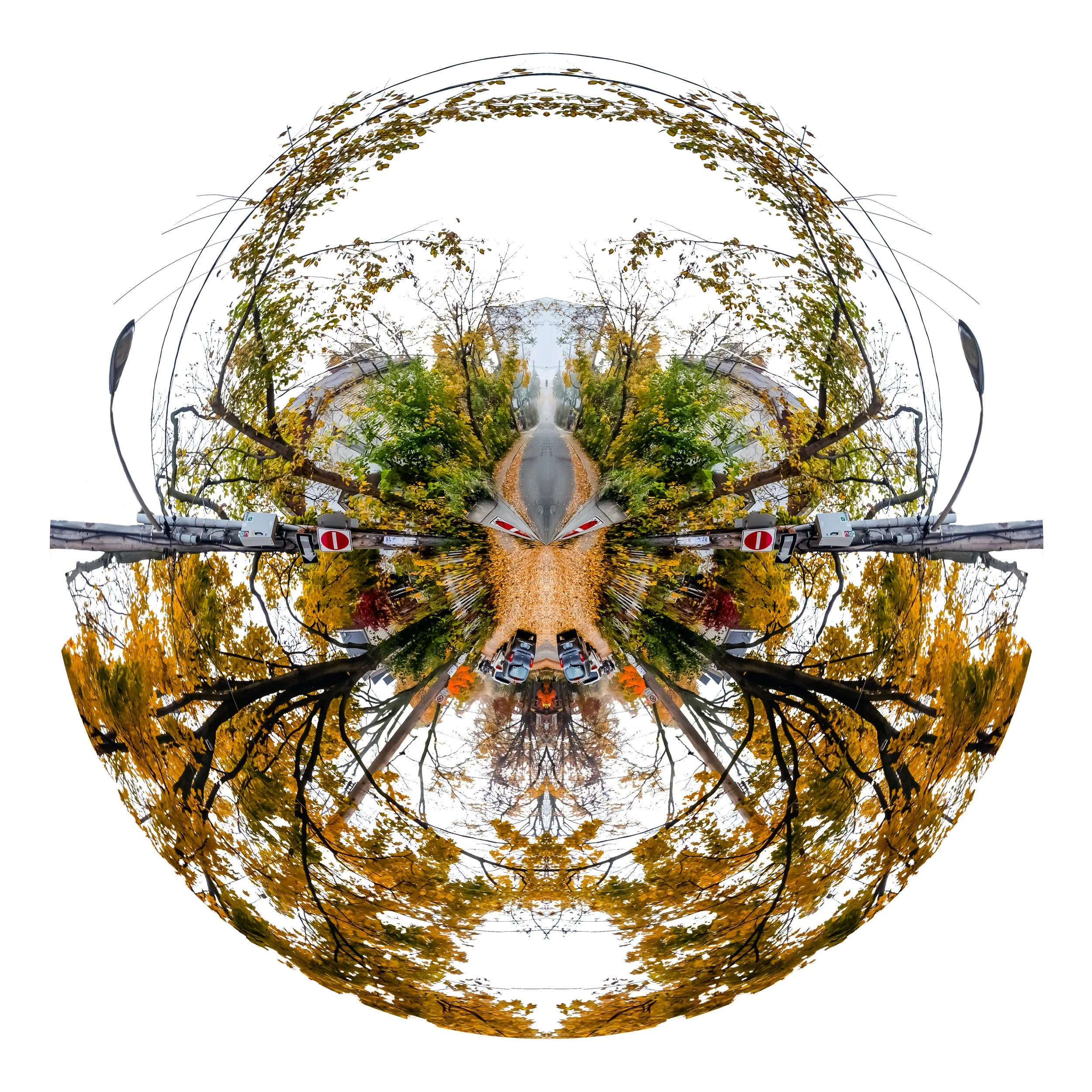 Unnatural Histories-2.jpg
