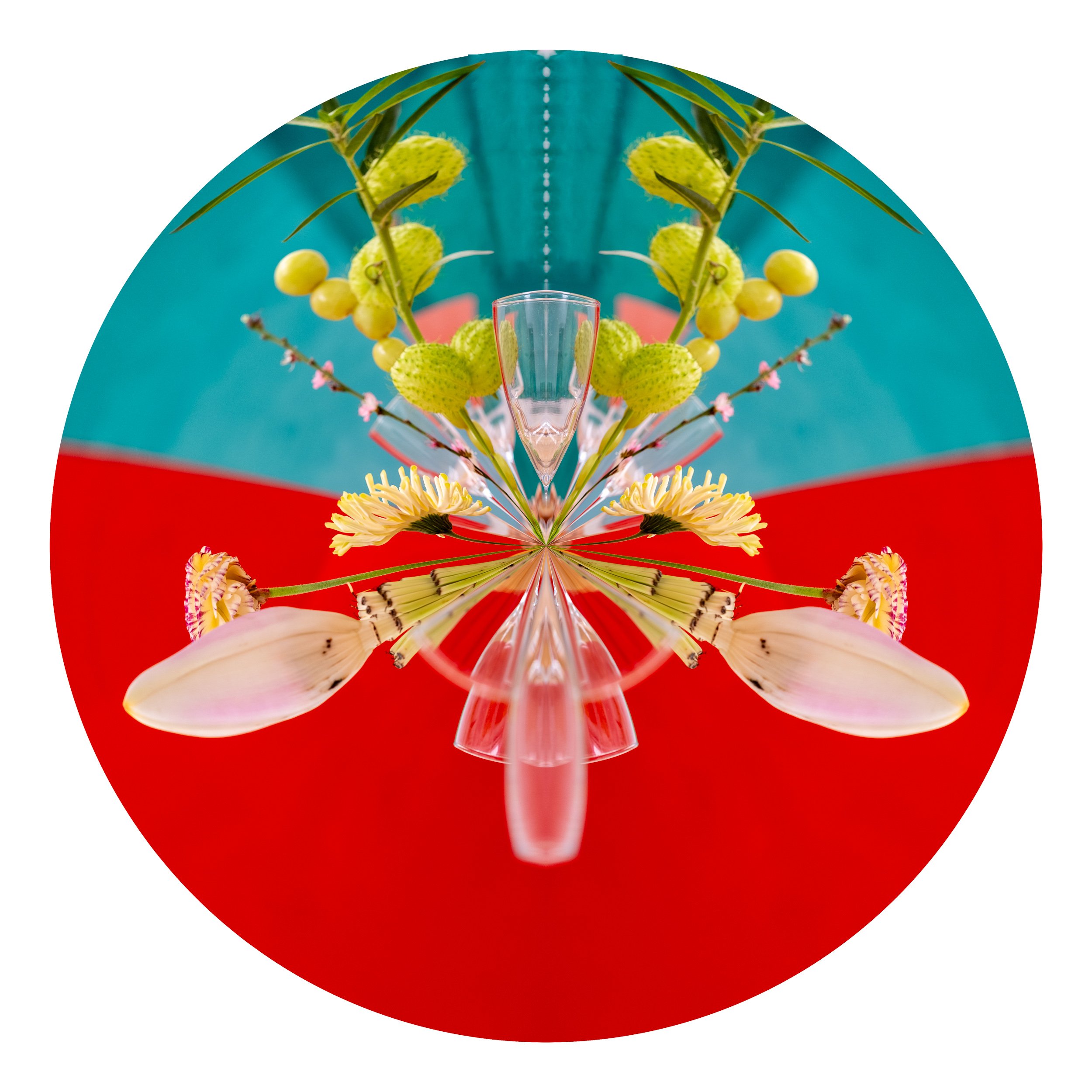 Unnatural Histories-12.jpg