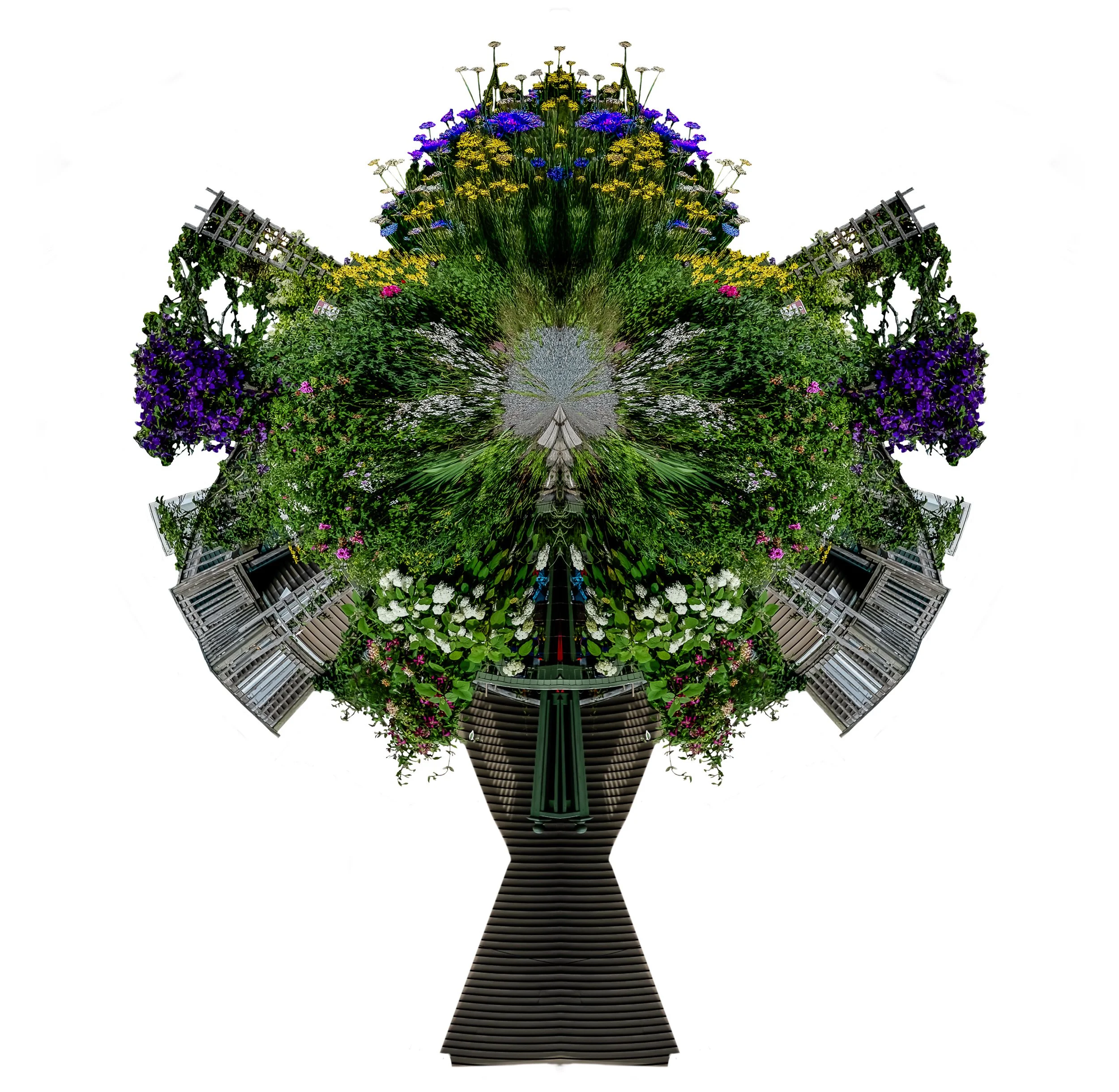Unnatural Histories-7.jpg