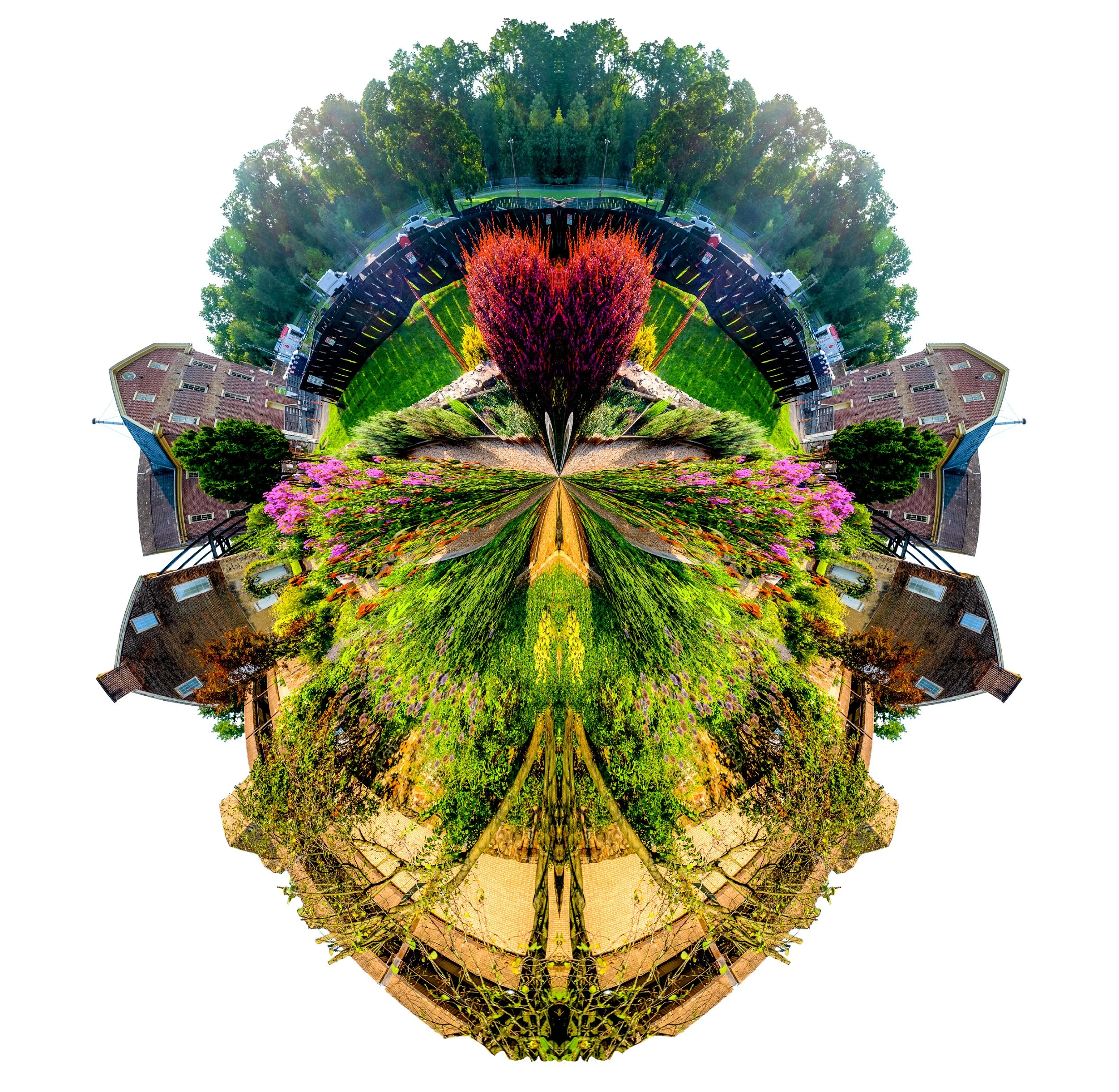 Unnatural Histories-6.jpg