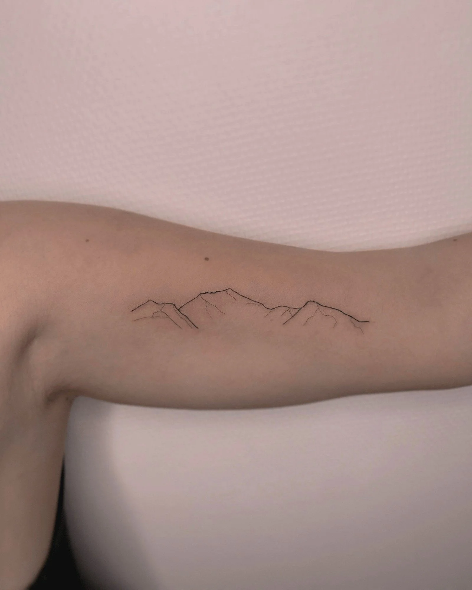 tatouage-fine-line-lyon-finime-18.jpg