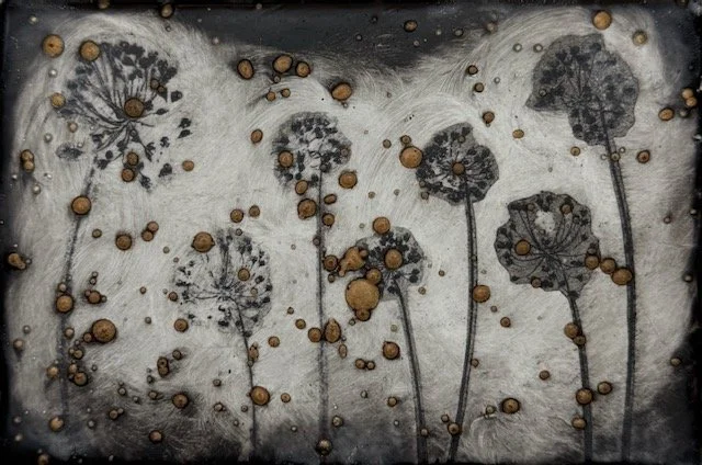 Spring Onion Series No. 18