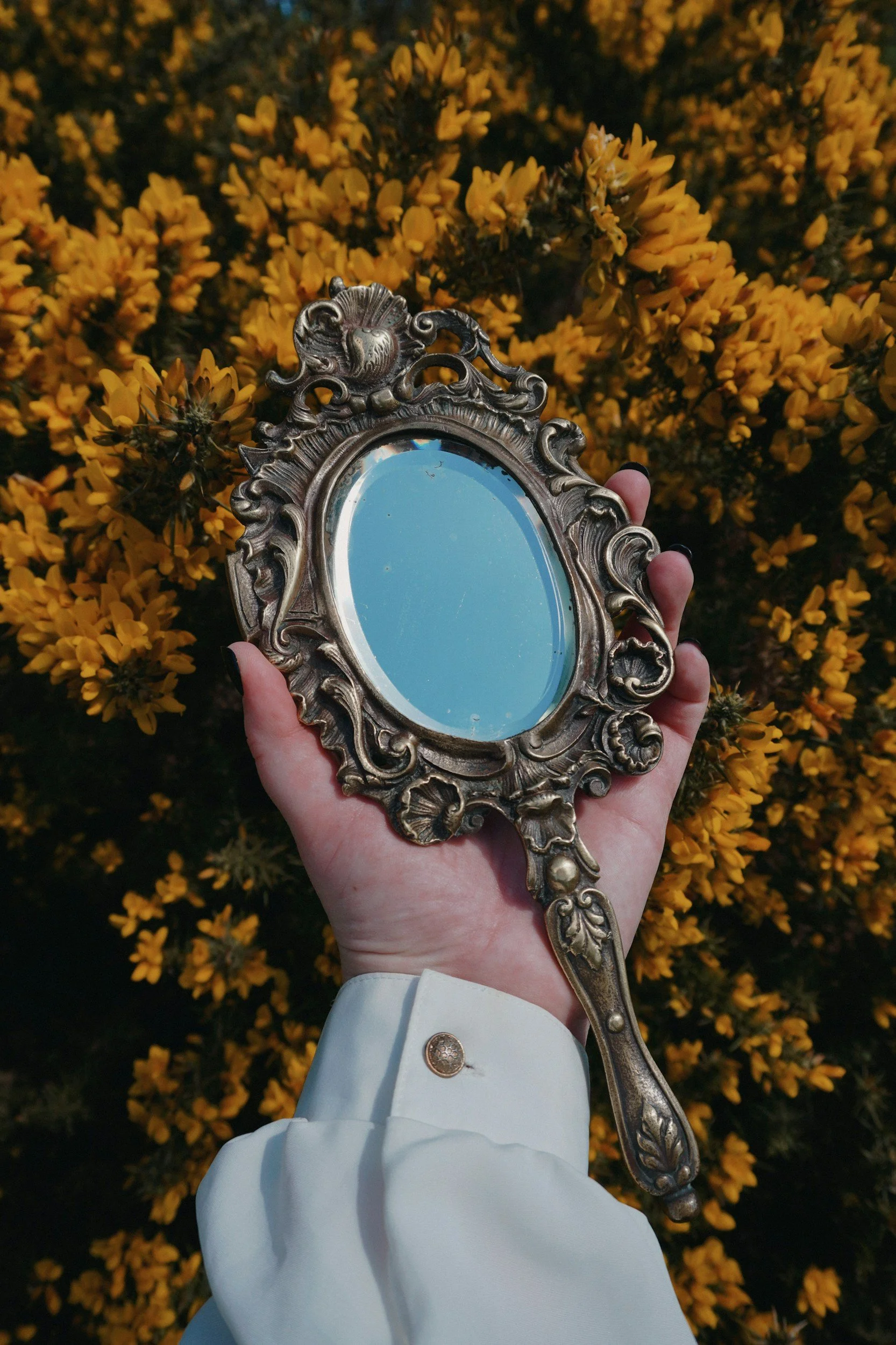 Hand holding an ornate vintage mirror with a reflective surface against a background of yellow flowers.