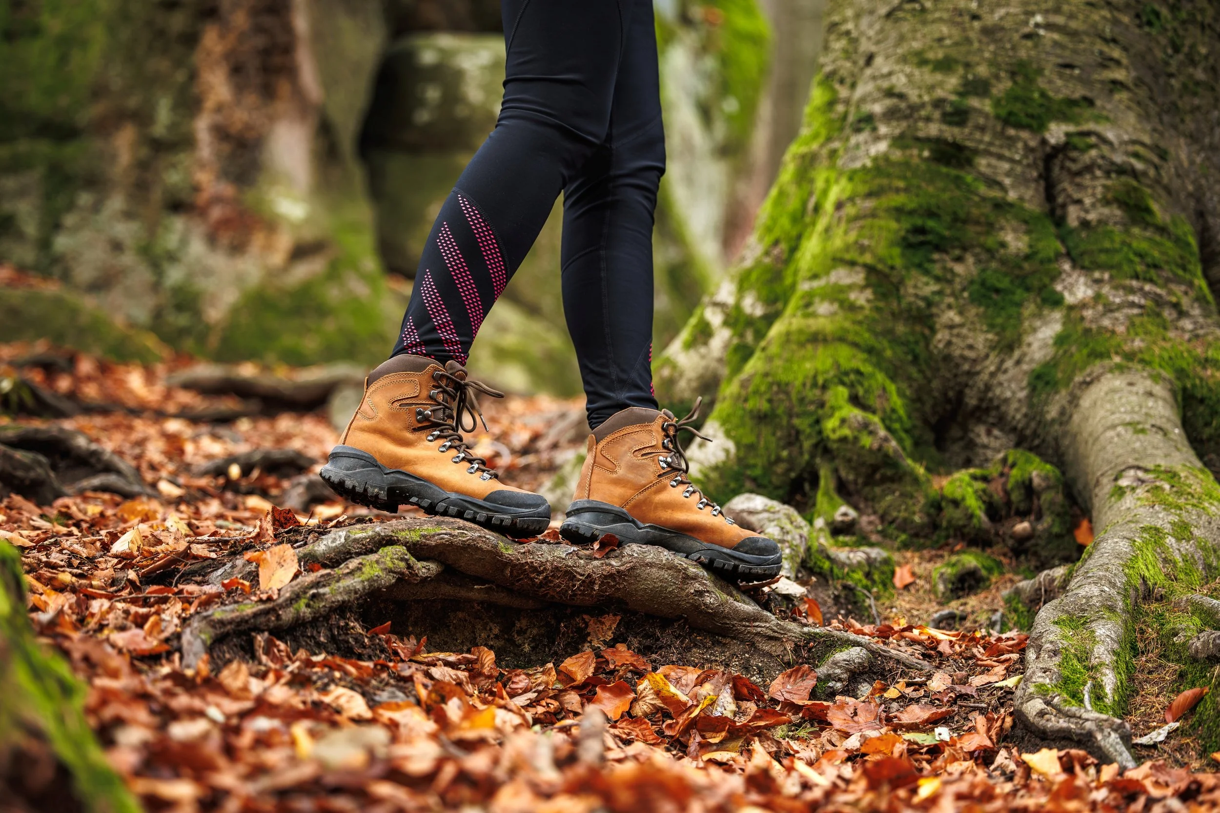 Close-up of person's legs and boots walking in a forest with fallen autumn leaves and moss-covered tree roots.