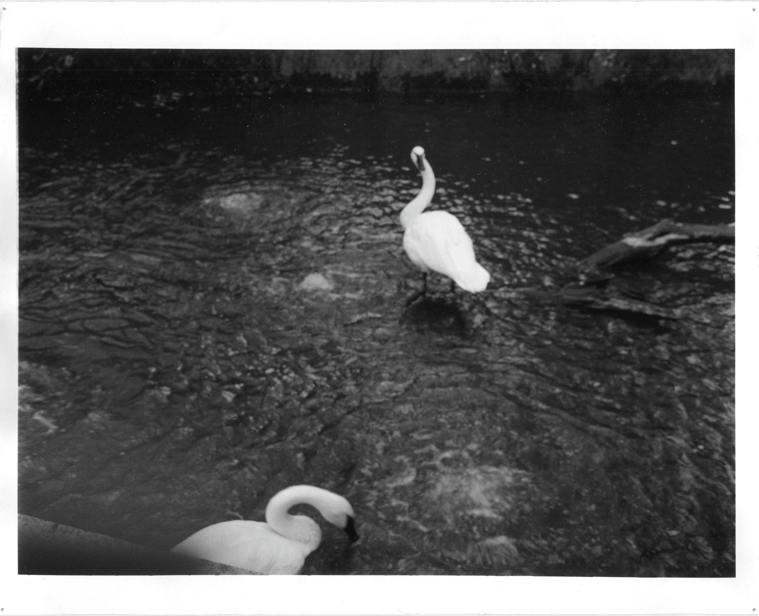 img008 copy.jpg