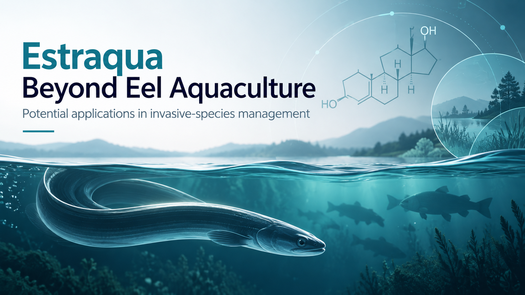 Aquatic scene with fish swimming underwater and a landscape with mountains and trees in the background. Text overlay reads "Estraqua Beyond Eel Aquaculture" and "Potential applications in invasive-species management." Chemical structure diagram also present.