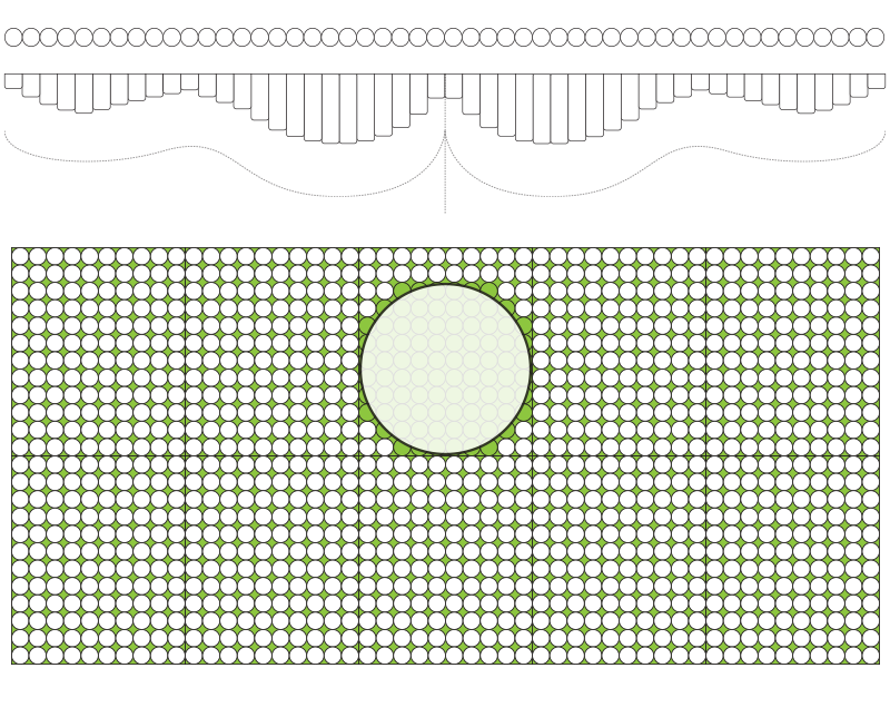 grafic.png