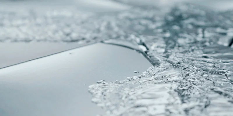 header2.jpg
